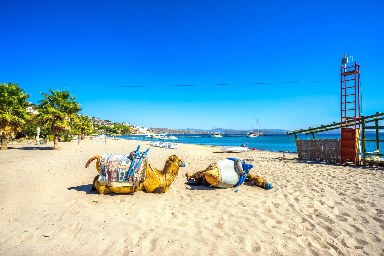 Image: 314704768, License: Royalty-free, Restrictions: , Model Release: no, Credit line: Luciano Mortula / Alamy / Alamy / Profimedia