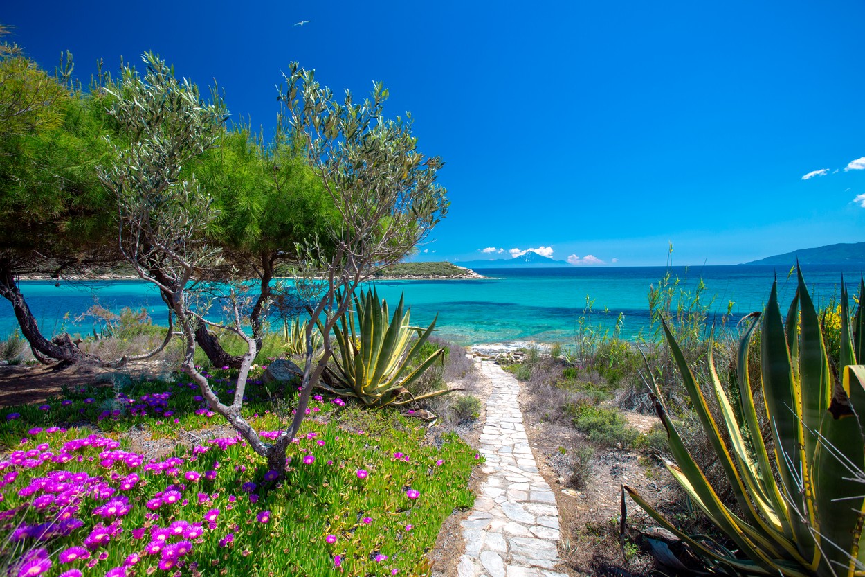 Road to the beach, Halkidiki, Greece, Europe,Image: 468675330, License: Rights-managed, Restrictions: , Model Release: no, Credit line: Sakis Papadopoulos / robertharding / Profimedia