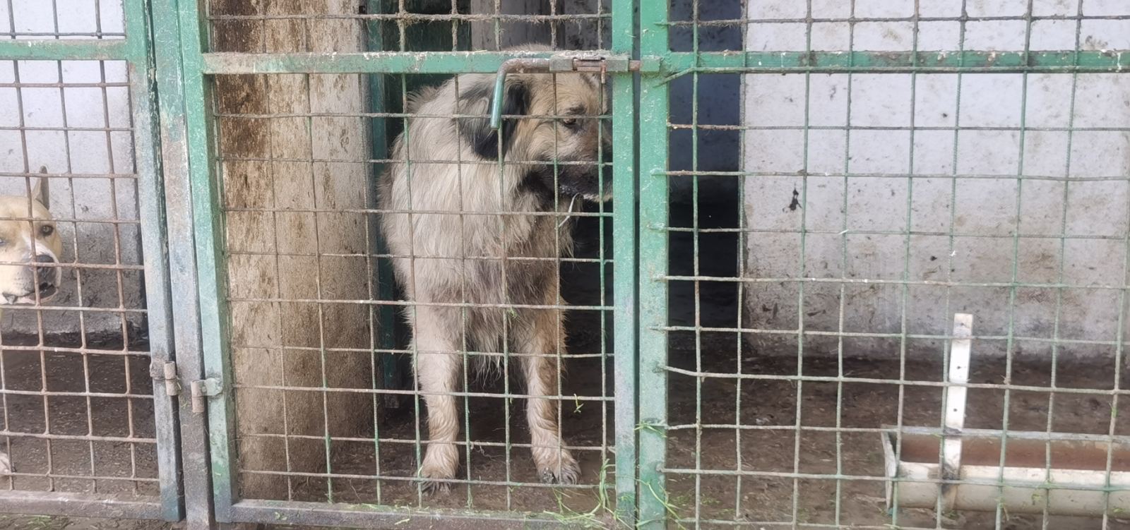 IMG-9ce2dc5b3ac231b78c8e1845ccc88642-V