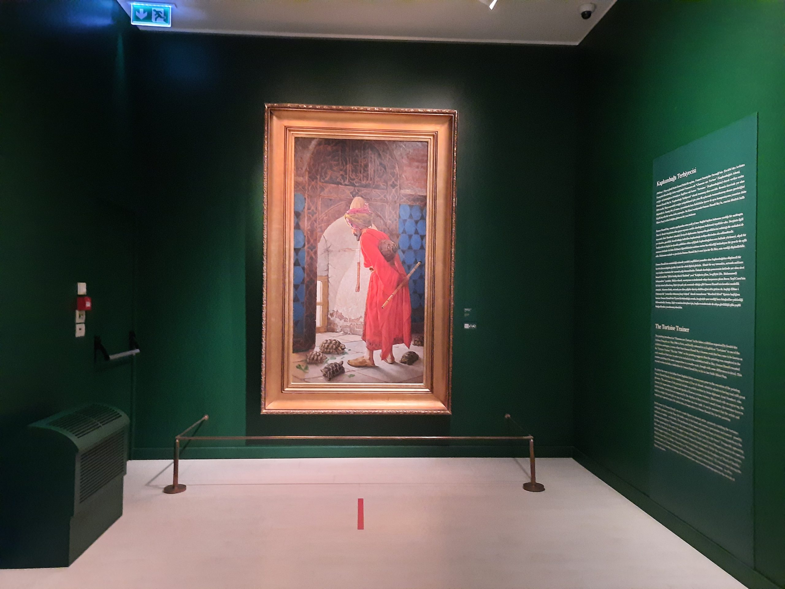 Turska 2022. Reportaza iz Turske, Foto: Ana Kalaba/Nova.rs