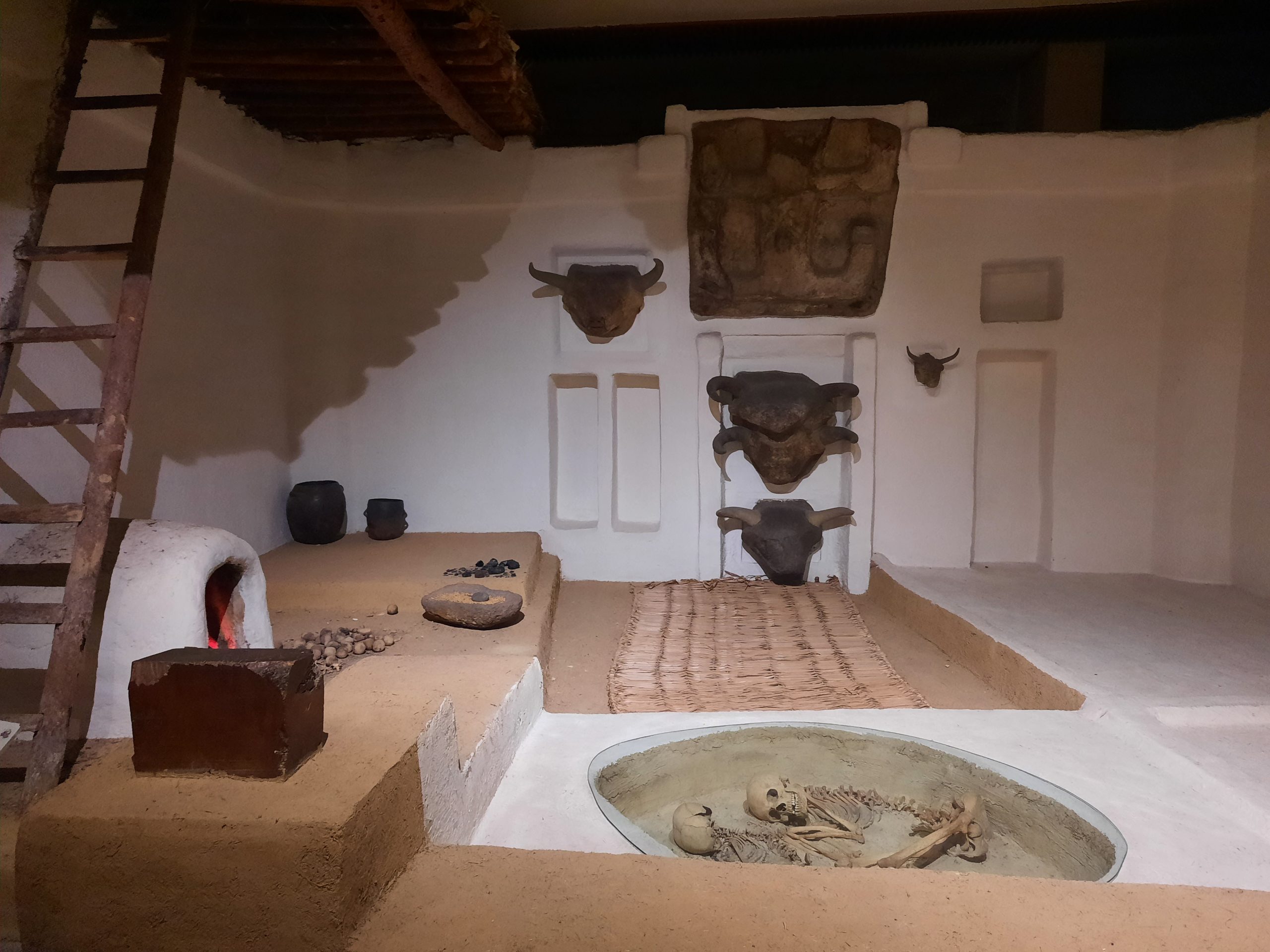 Turska 2022. Reportaza iz Turske, Foto: Ana Kalaba/Nova.rs