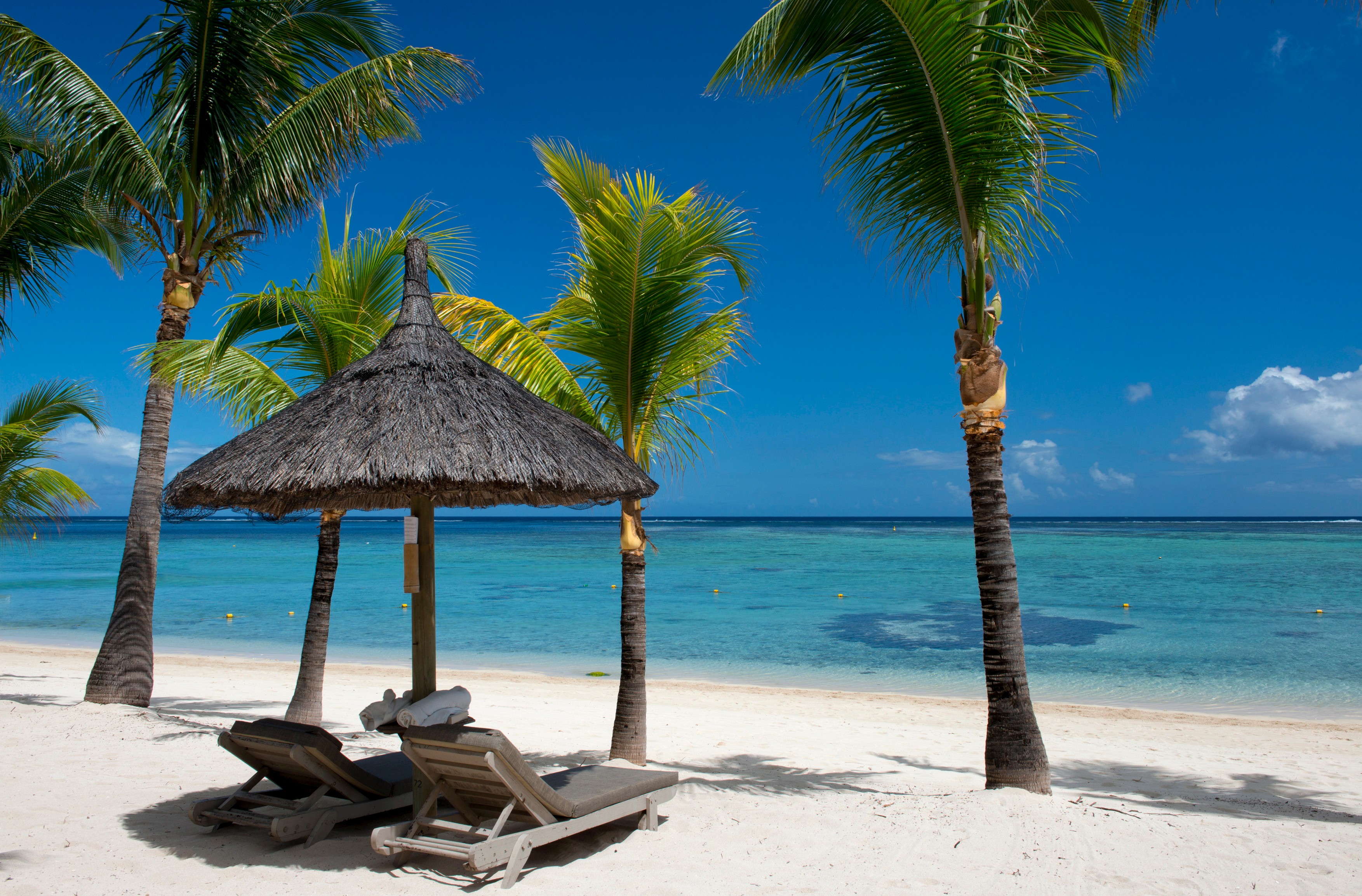 Palm trees and a white sand beach at the Lux Le Morne Hotel on Le Morne Brabant Peninsula, Mauritius, Indian Ocean, Africa,Image: 201046396, License: Rights-managed, Restrictions: , Model Release: no, Credit line: Ellen Rooney / robertharding / Profimedia