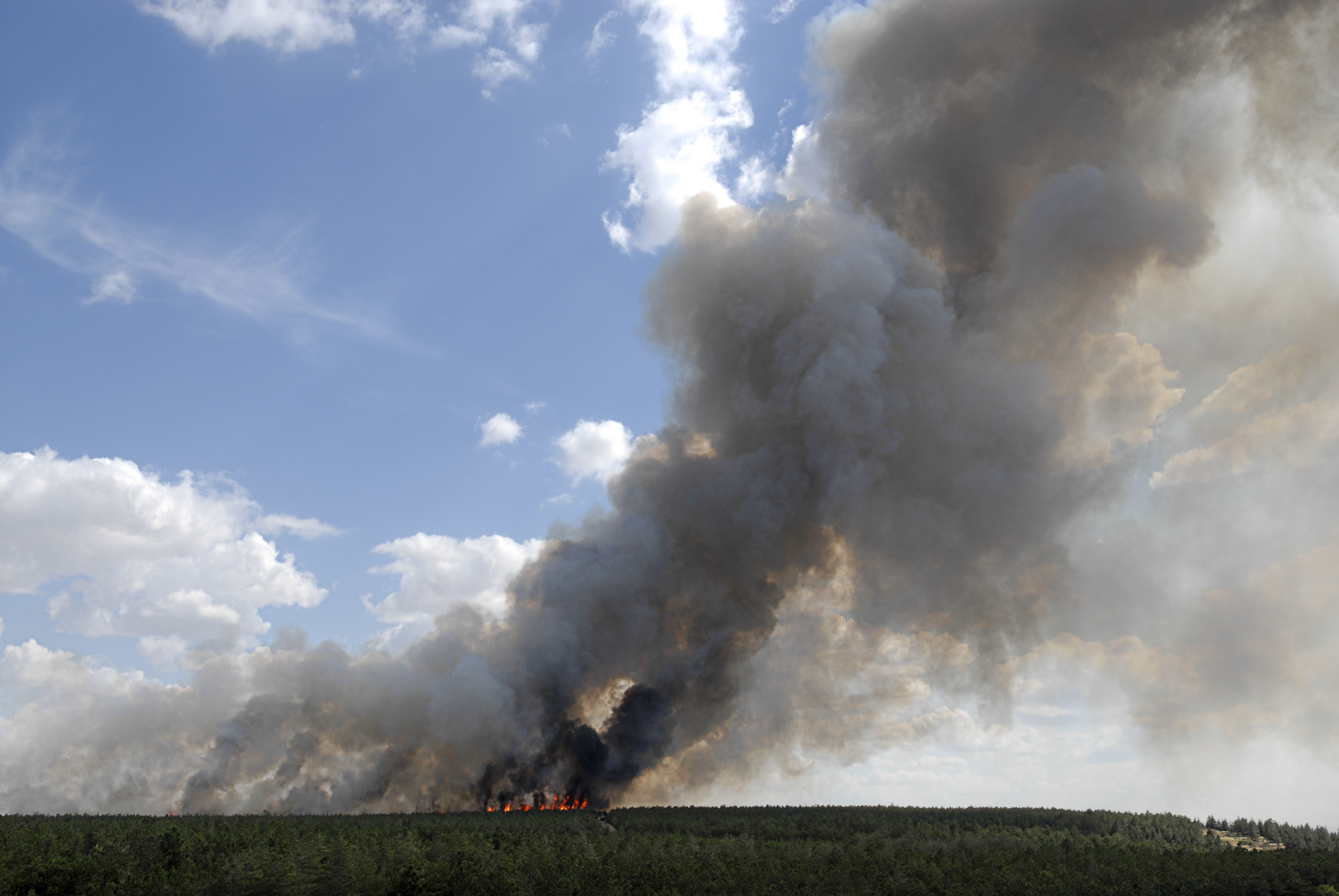 Forest,Fire,With,Copy,Space