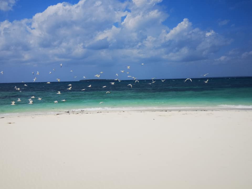 Zanzibar