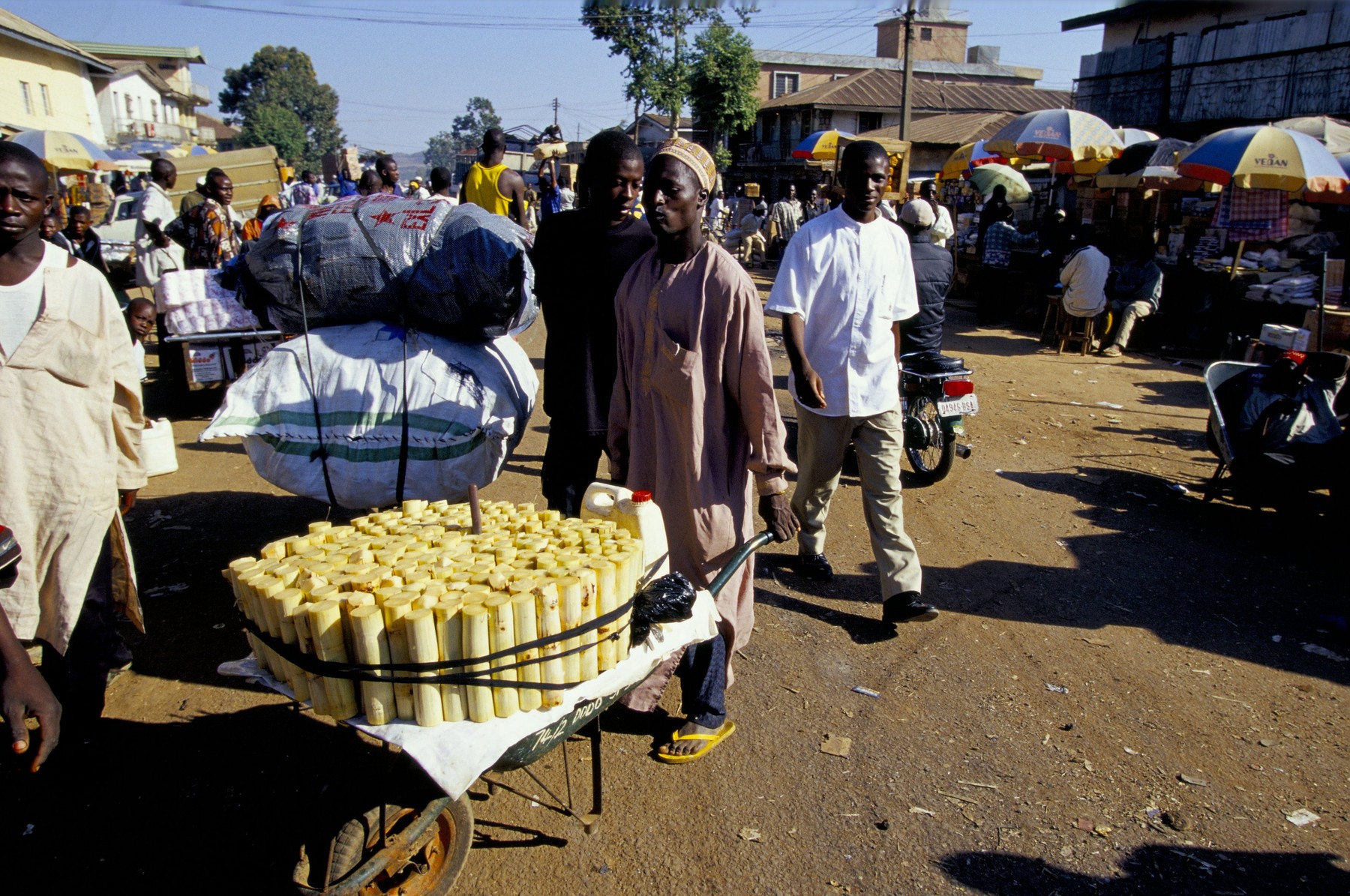 Image: 6031167, License: Rights-managed, Restrictions: , Model Release: no, Credit line: Peter Jordan / Alamy / Profimedia