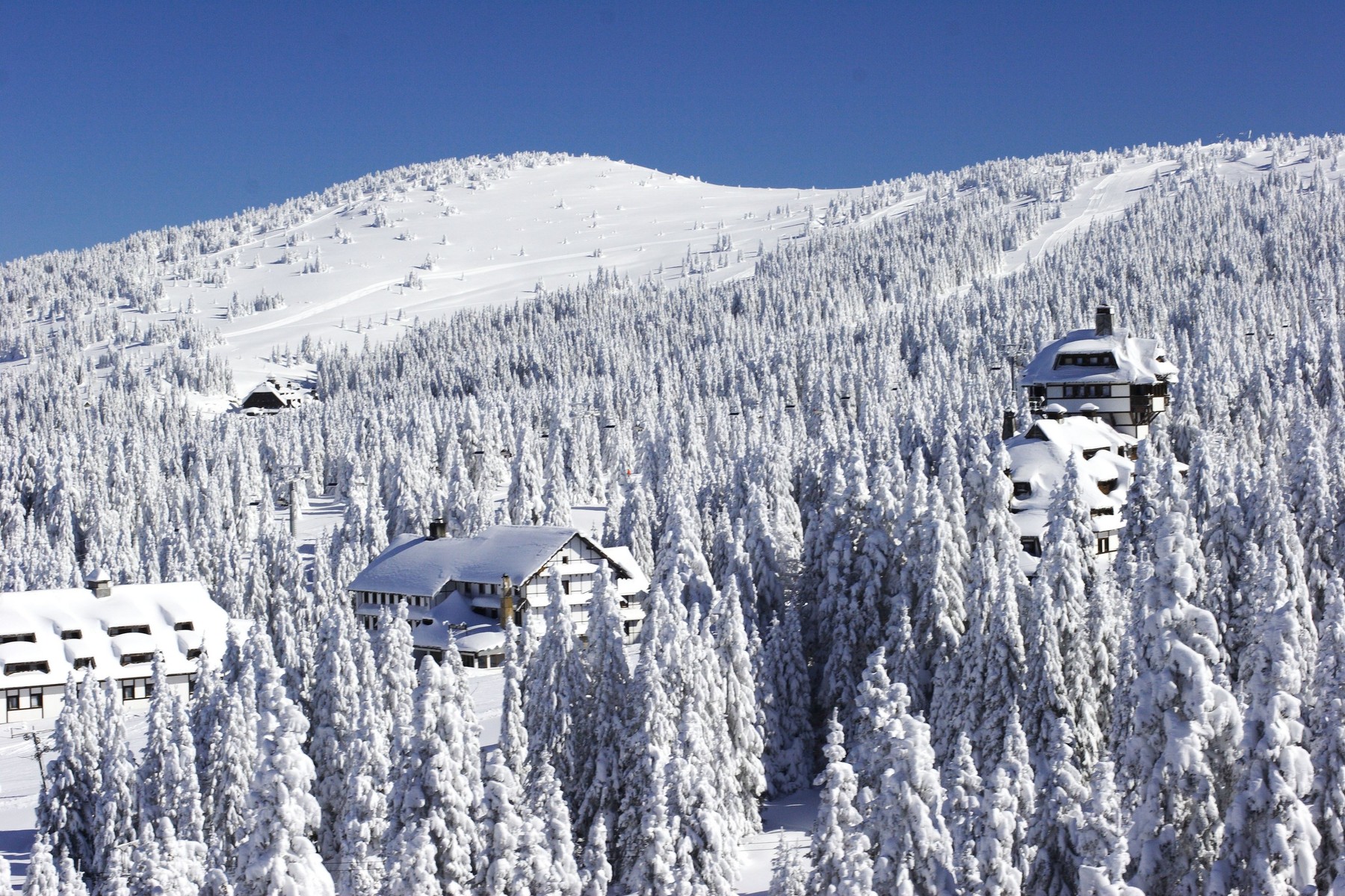 view looking across the ski resort of Kopaonik, Serbia