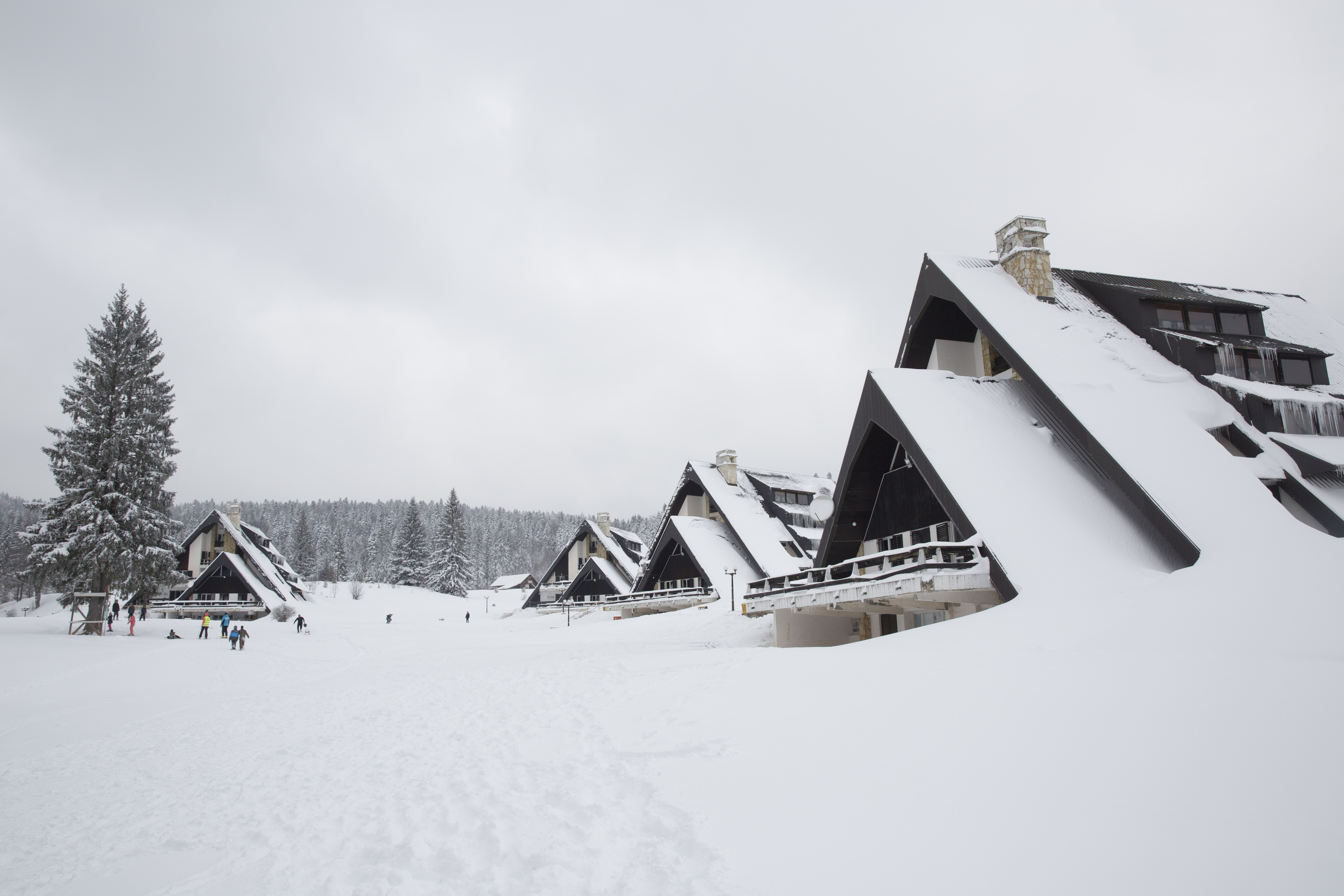 Planina Tara sneg zima Foto:Goran Srdanov/Nova.rs