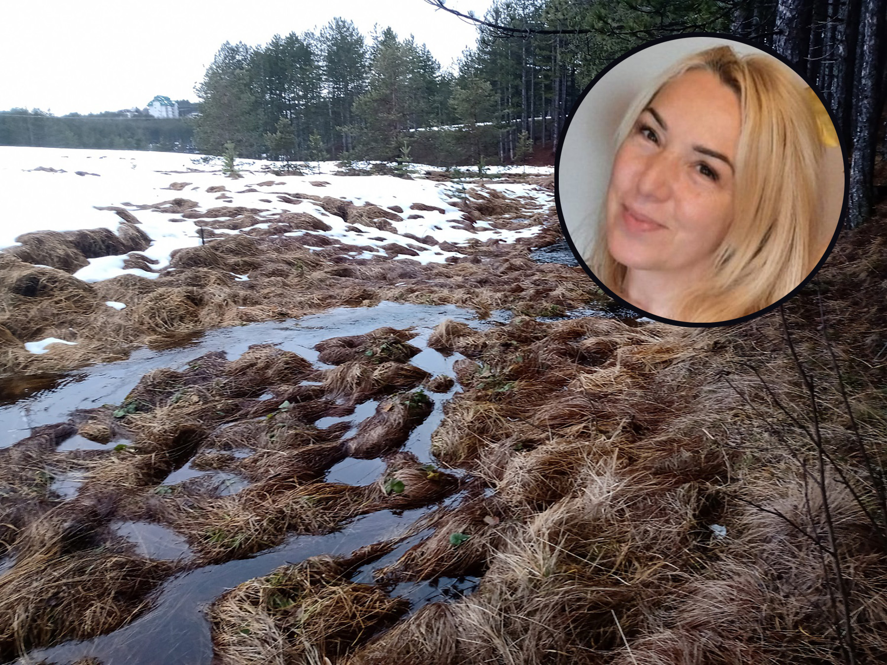 tic polje zlatibor jovana marjanovic kombo