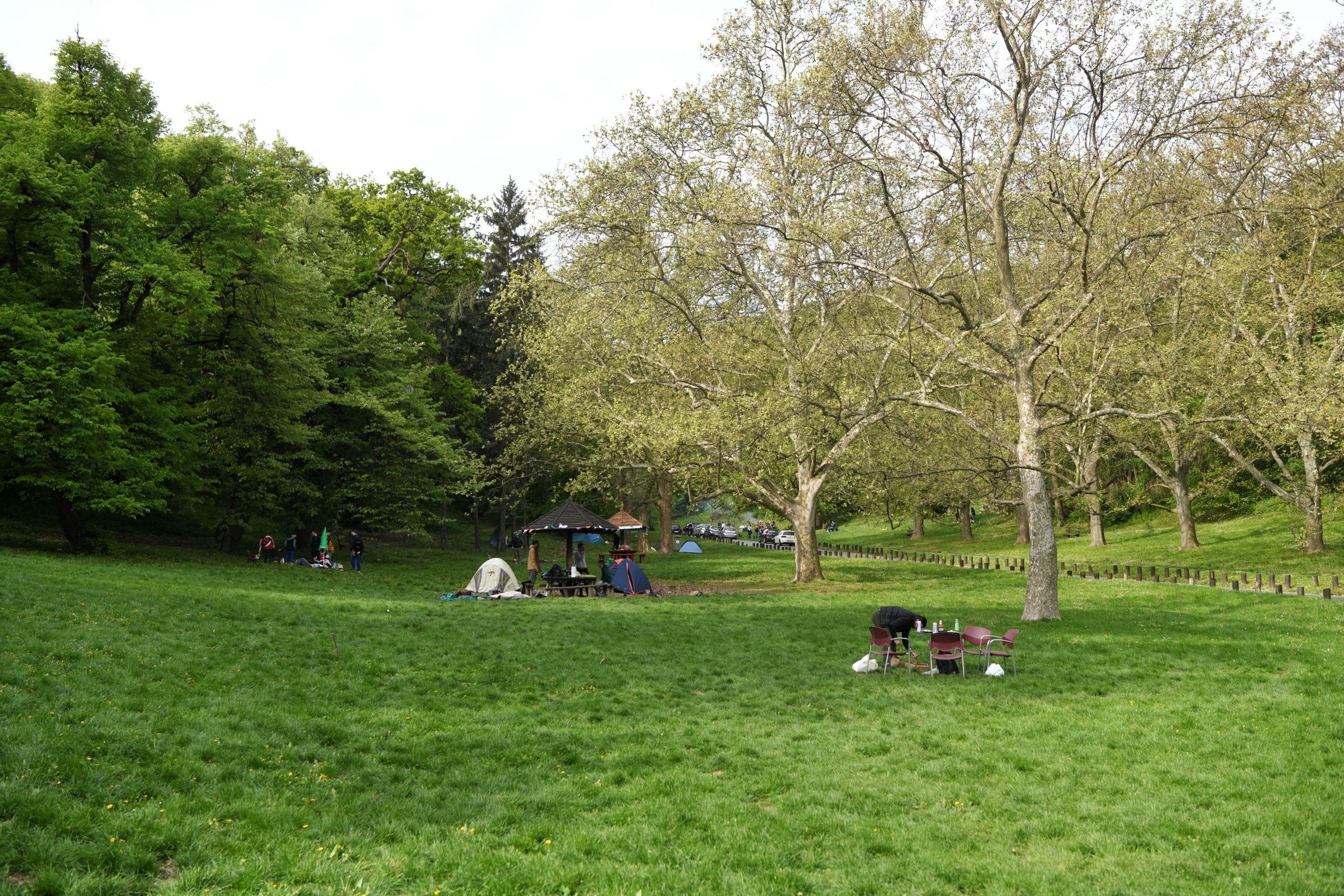01.05.2022. Beograd, Košutnjak, prvi maj, prvomajski uranak, rostilj, rostiljanje Košutnjak Foto: Filip Krainčanić/Nova.rs
