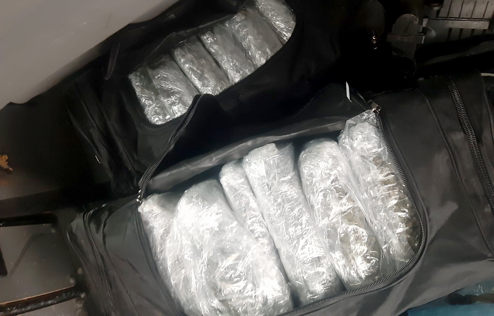 Pripadnici Ministarstva unutrašnjih poslova u Novom Sadu zaplenili su 31 kilogram marihuane 
Marihuana je pronađena pretresom kombija koji je vozio osumnjičeni, u kragujevačkom naselјu Stragari.