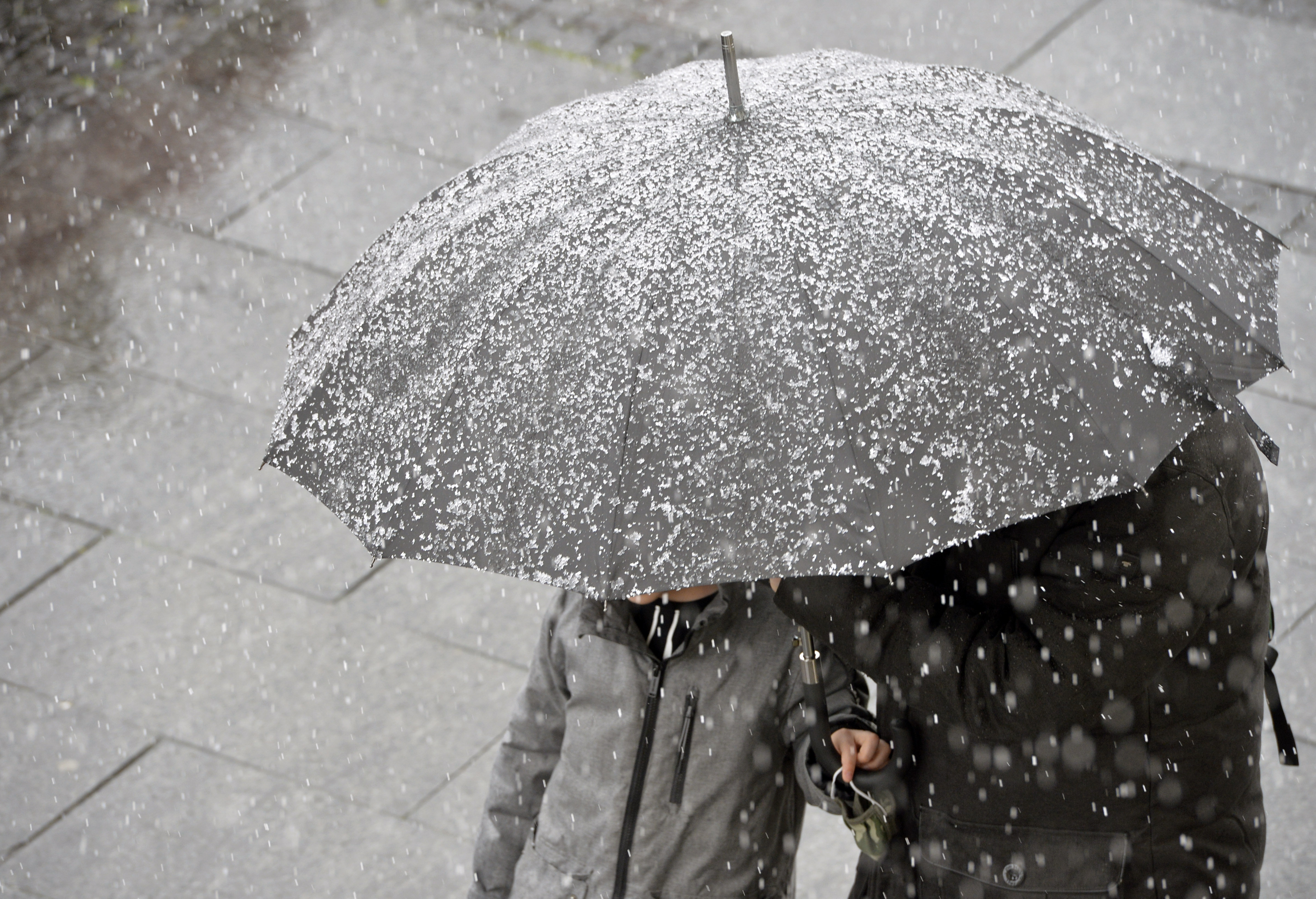 SNEG vreme zima sneg