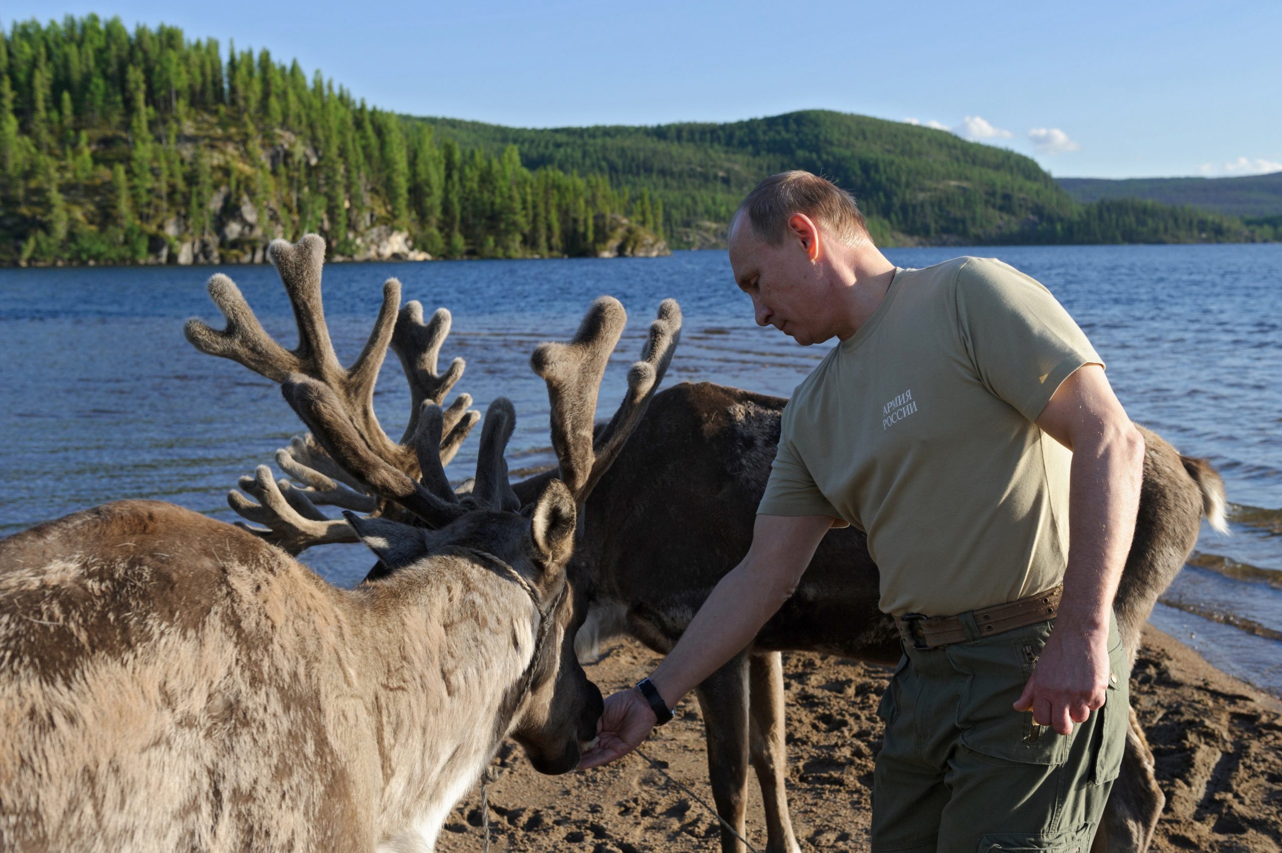 epa03802336 A photo made available on 26 July 2013 shows Russian President Vladimir Putin feeding reindeer during his vacation in the Tyva Republic, Southern Siberia, Russia, 20 July 2013.  EPA/ALEXEY NIKOLSKY / RIA NOVOSTI / KREMLIN POOL MANDATORY CREDIT
