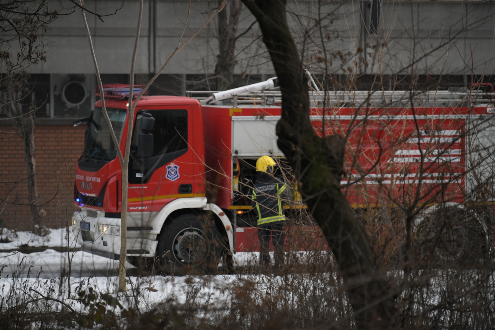 Pozar u fabrici IMT u Zemunu Foto: Dragan Mujan/Nova.rs