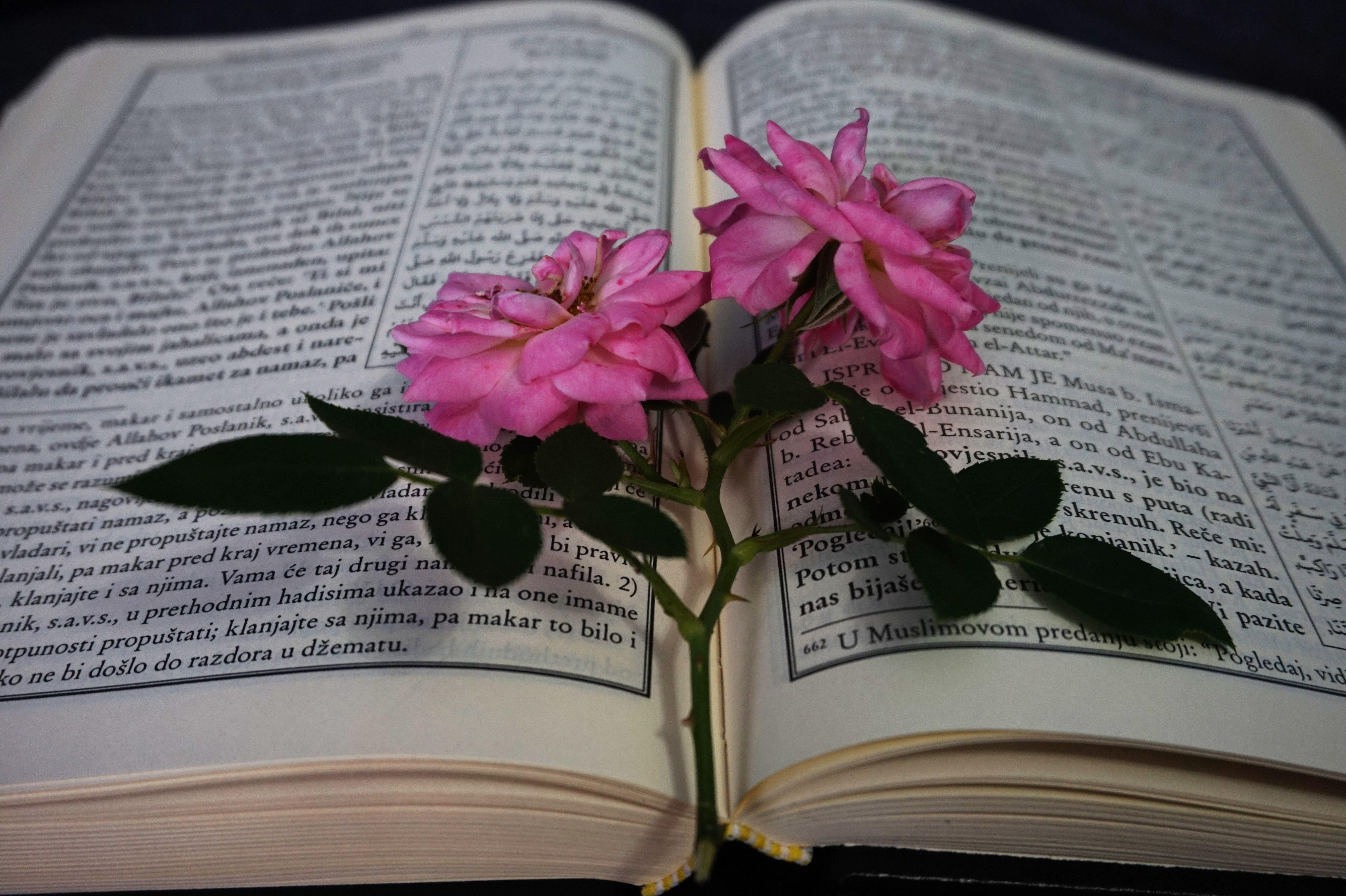 Večeras počinje Ramazan, sveti mesec Muslimana
Ramazanski post je treći od pet stubova Islama