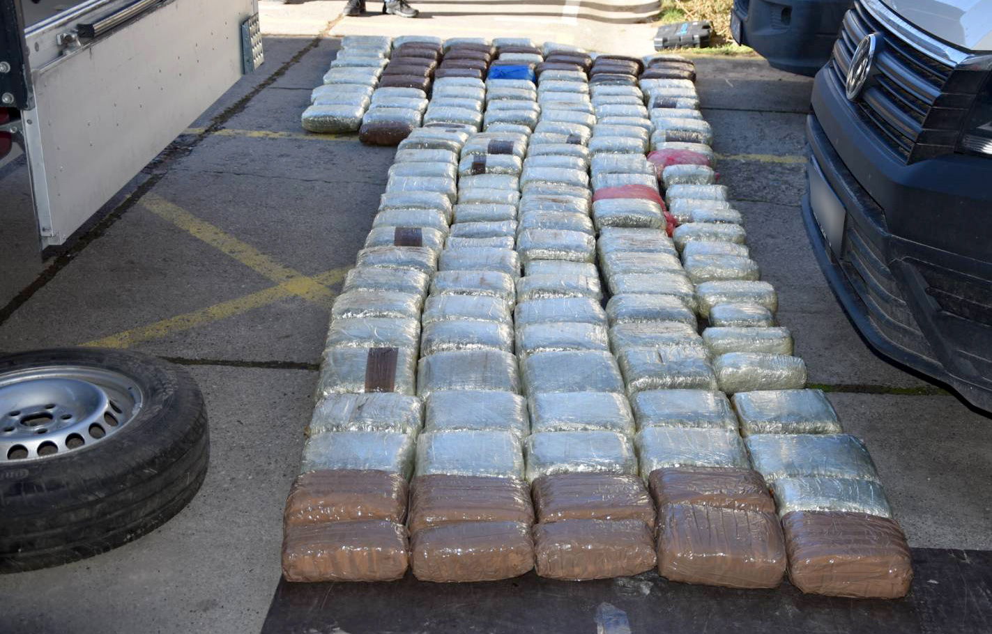 MUP-Saopstenje-Zaplena oko 147 kg marihuane-Hapsenje-Backi Breg