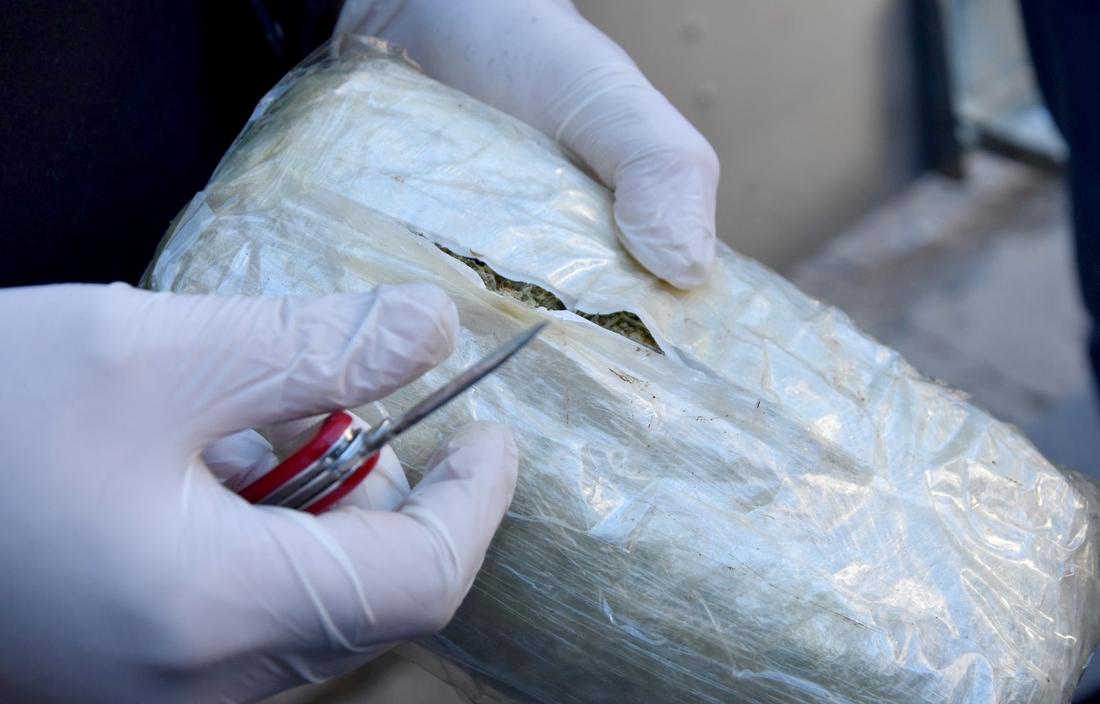 MUP-Saopstenje-Zaplena oko 147 kg marihuane-Hapsenje-Backi Breg