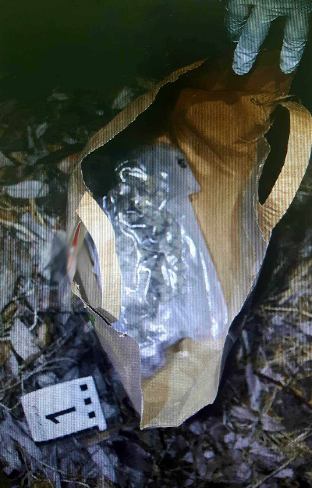 Marihuana, trava, kanabis, dorga, zaplena Foto: MUP Srbija