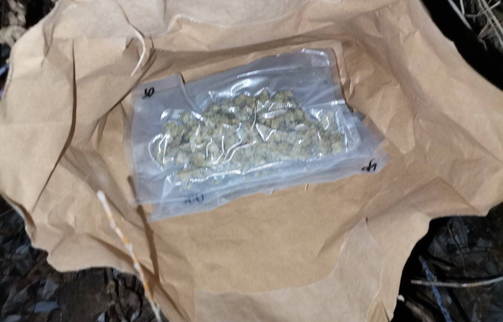 Marihuana, trava, kanabis, dorga, zaplena Foto: MUP Srbija