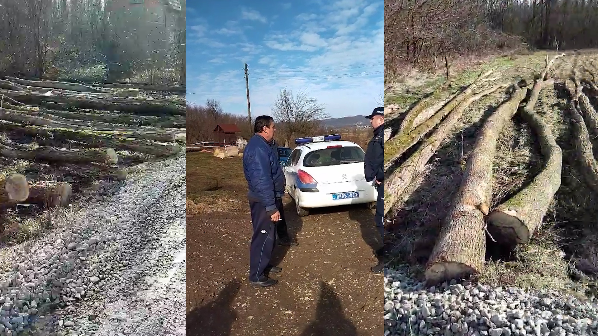 inspketor, gornje nedeljice, policija, rio tinto, šuma, drva