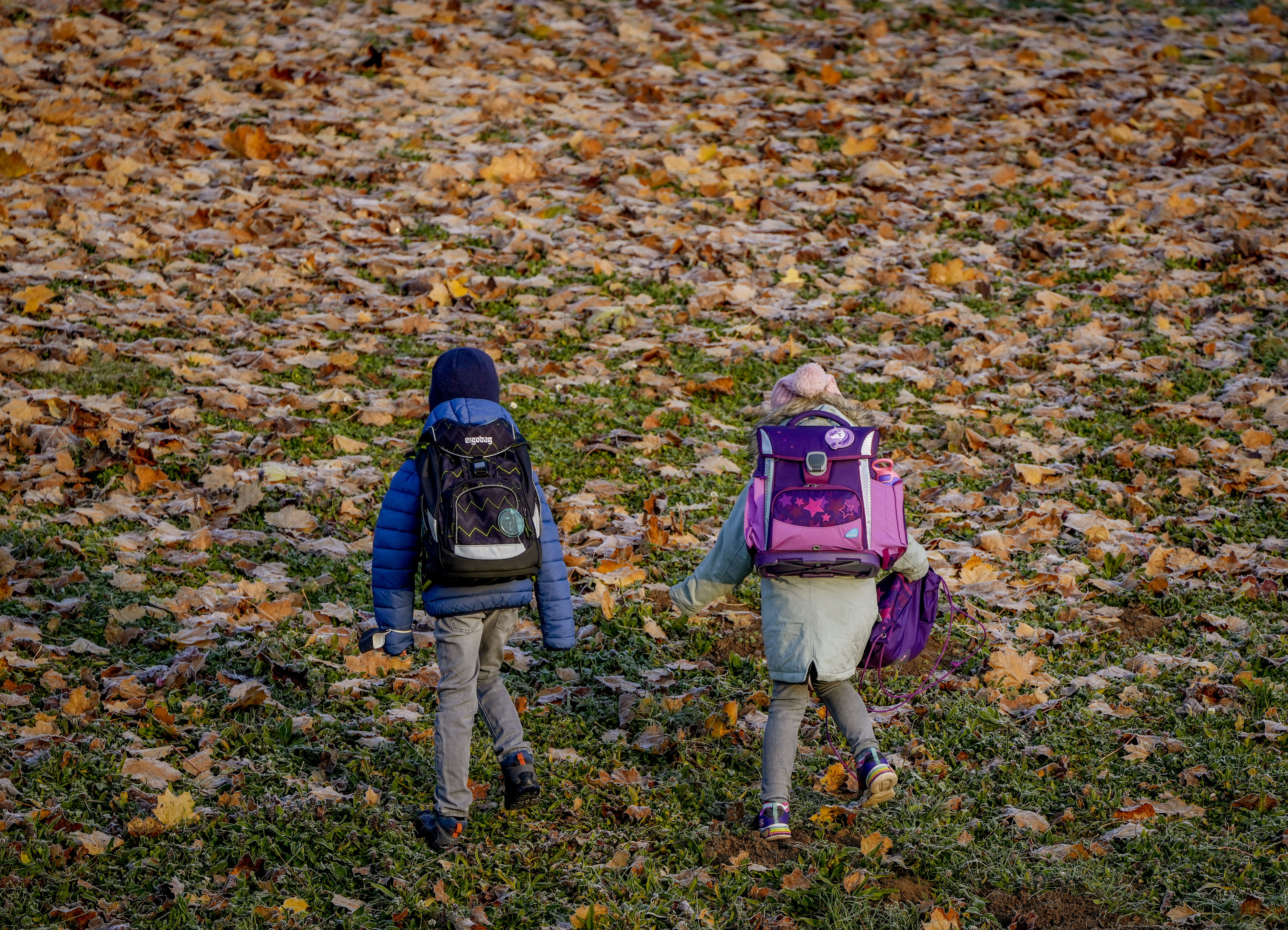 Virus Outbreak Germany deca jesen