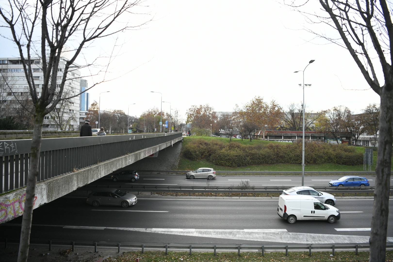 nadvožnjak kod geneksa, zena skocila