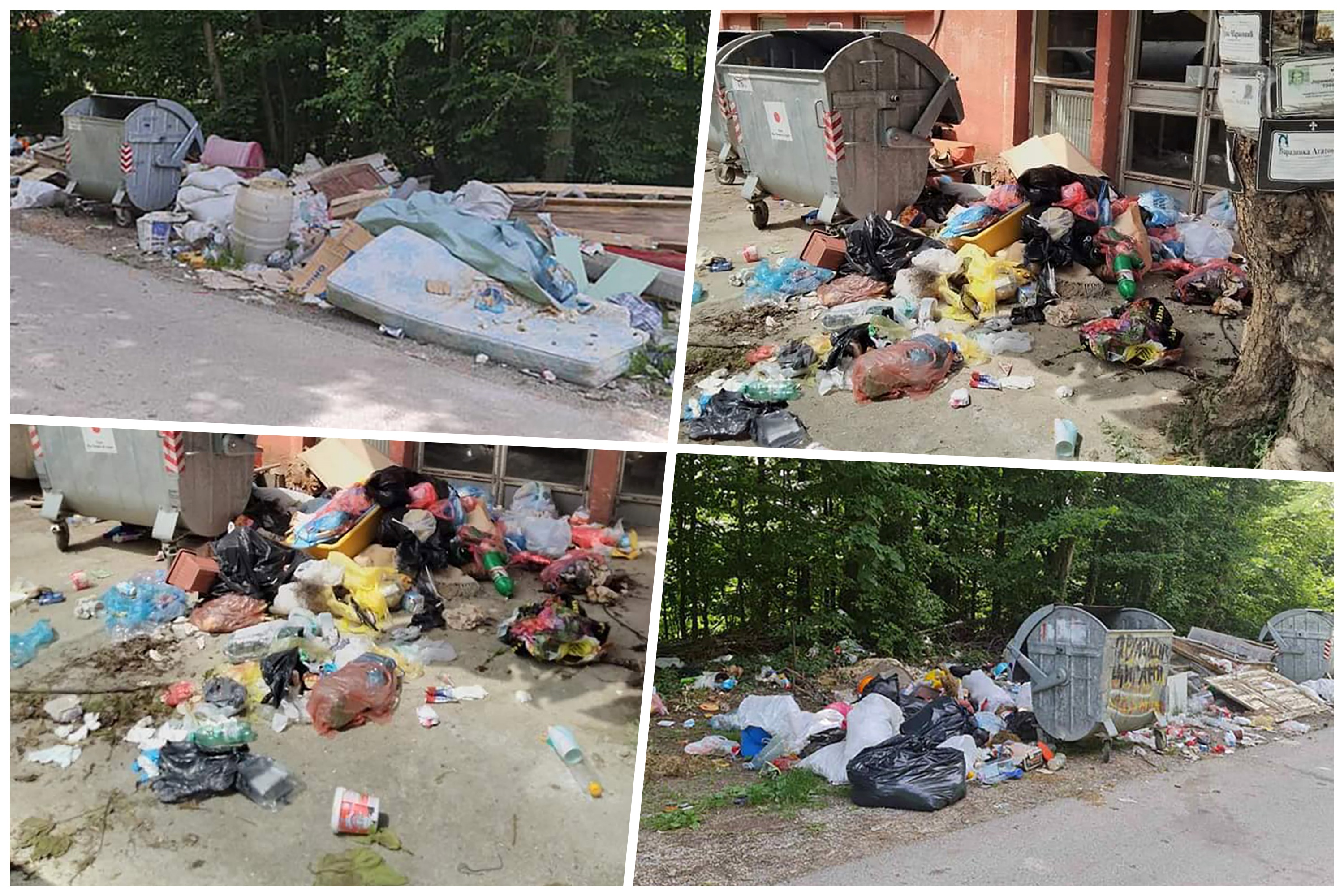 LJIG - Uprkos tome što JKP "Komunalac" Ljig, najmanje dva puta sedmično odvozi otpad na deponiju, slike, koje su se nedavno pojavile pored kontejnera i u reci Ljig gde plutaju mrtve svinje zgrozile su žitelje ove opštine. poslala Ljubica Sokic