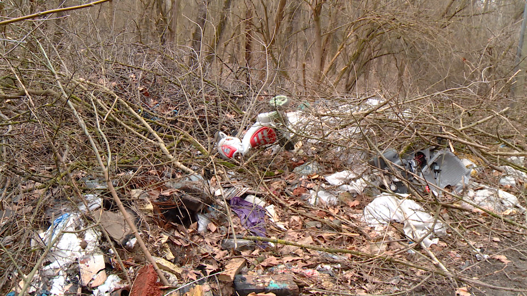 Lipovačka šuma izletište deponija smeće