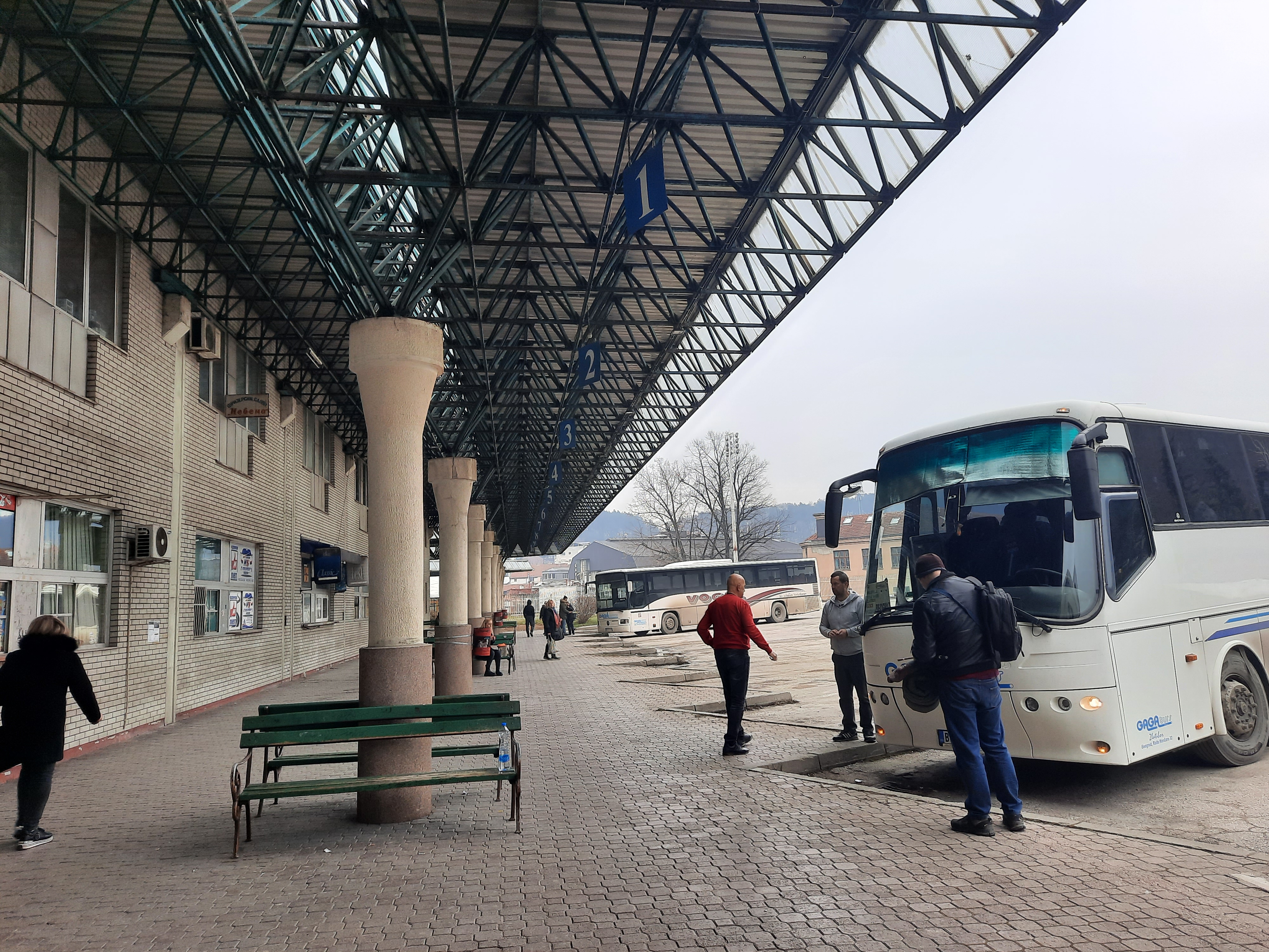 foto slavica panic (2)