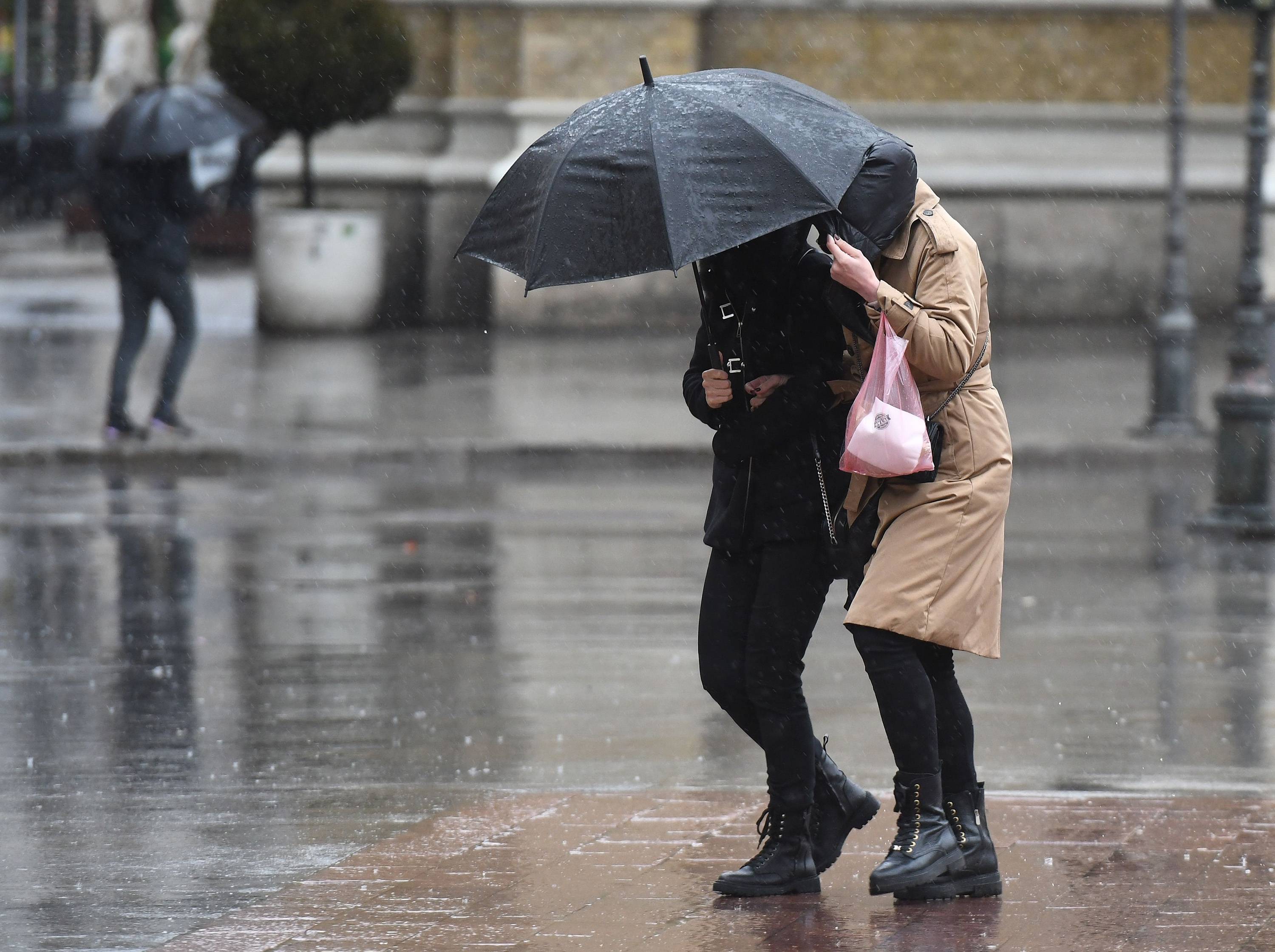 Novi Sad, 7.02.2022. - Kisovit i vetrovit februarski dan u Novom Sadu. (BETAPHOTO/DRAGAN GOJIC/MO)