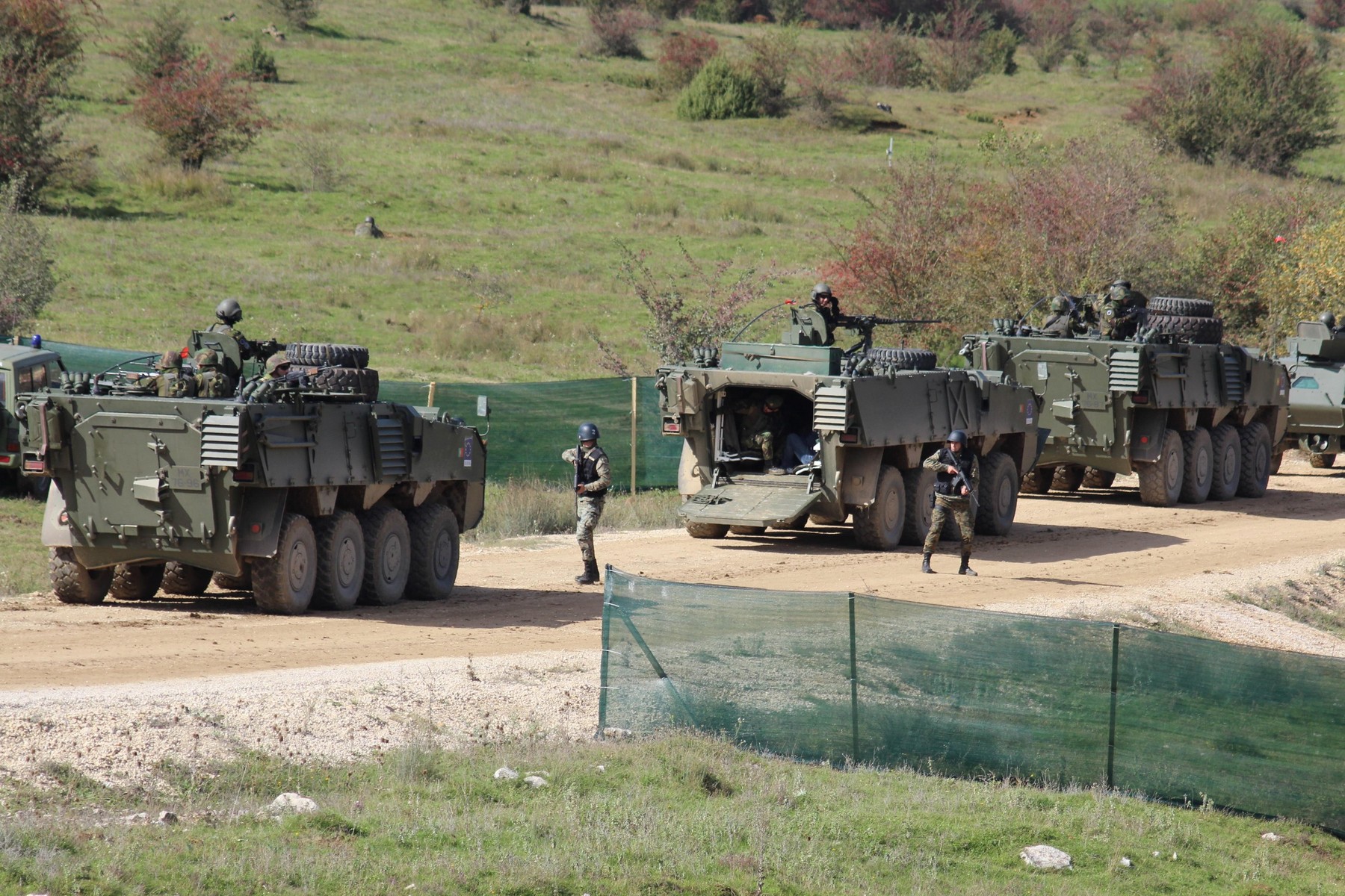 Image: 303358300, License: Royalty-free, Restrictions: , Model Release: no, Credit line: Mladen Dragojlovic / Alamy / Alamy / Profimedia