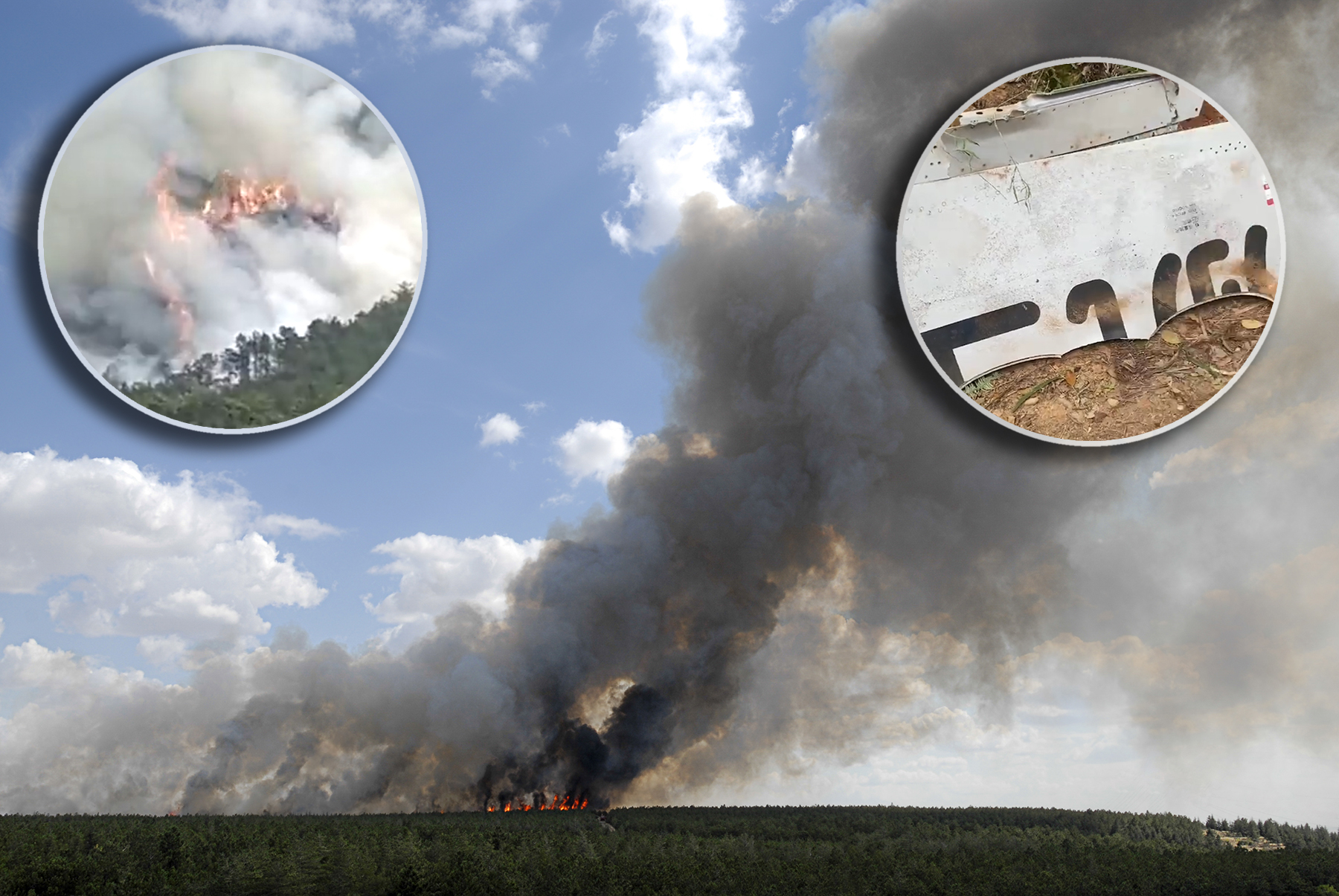 Forest,Fire,With,Copy,Space