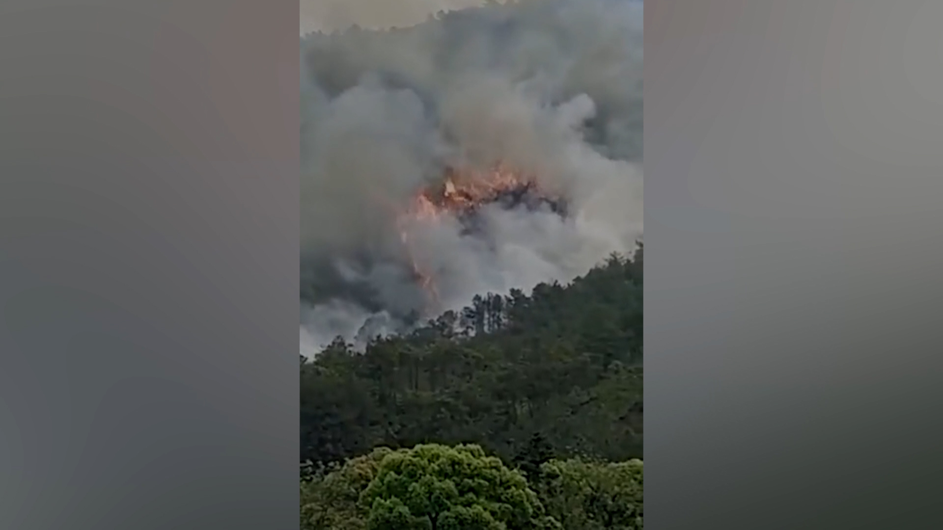 Srušio se Boing 737 sa više od 130 putnika