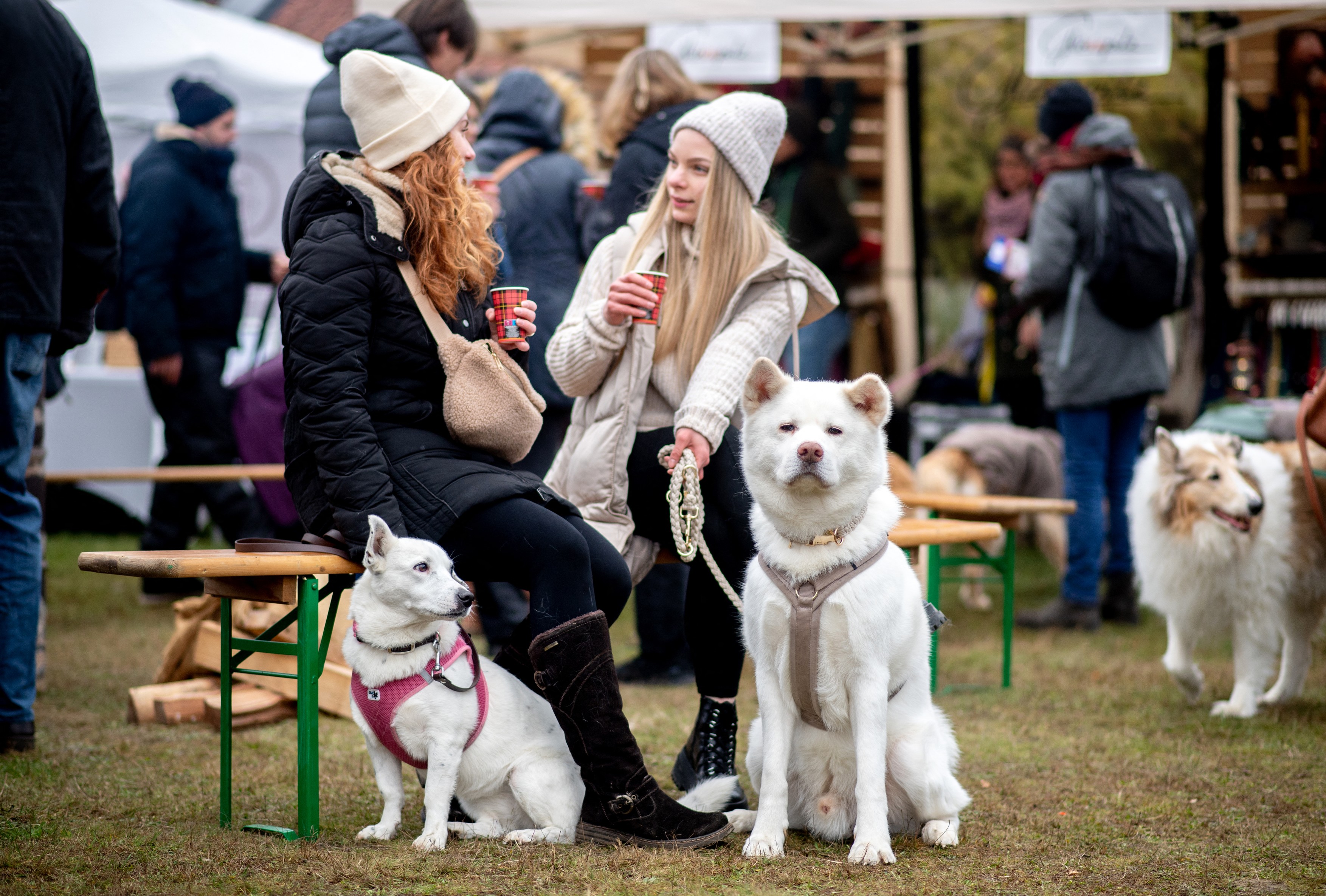 profimedia-0743926049