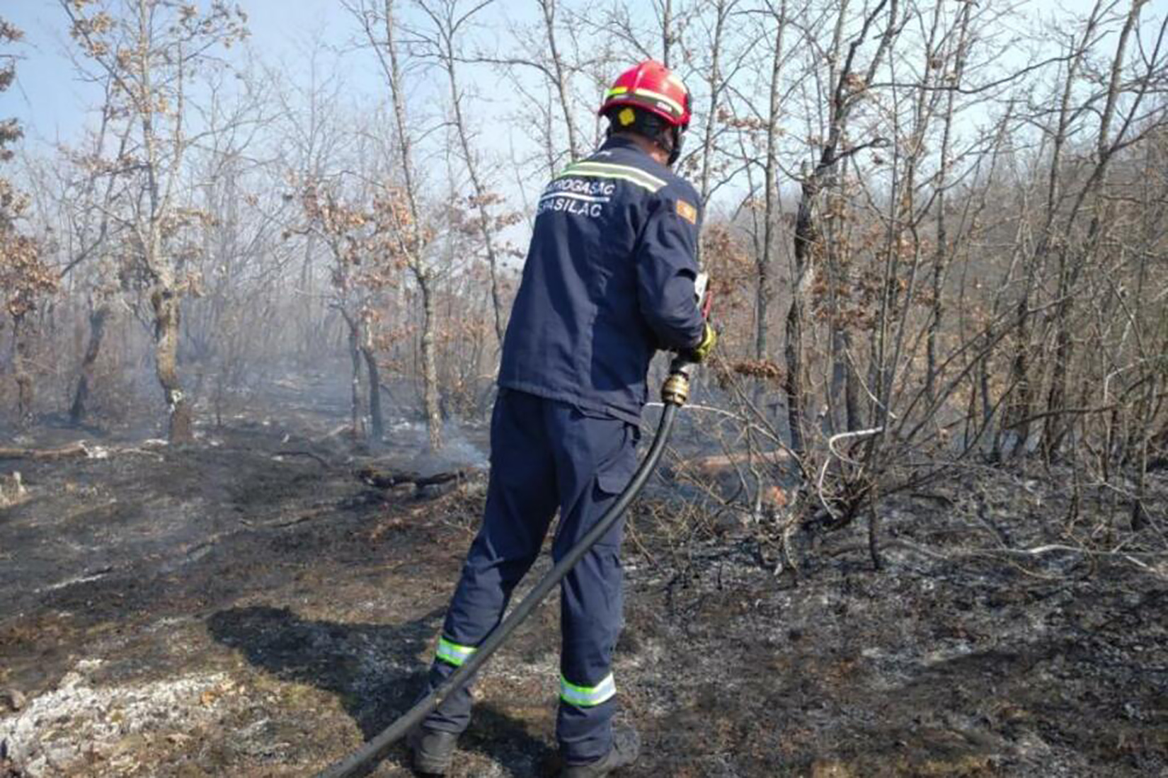 Nikšić, požar, šumski požar Foto: Služba zaštite i spašavanja Nikšić