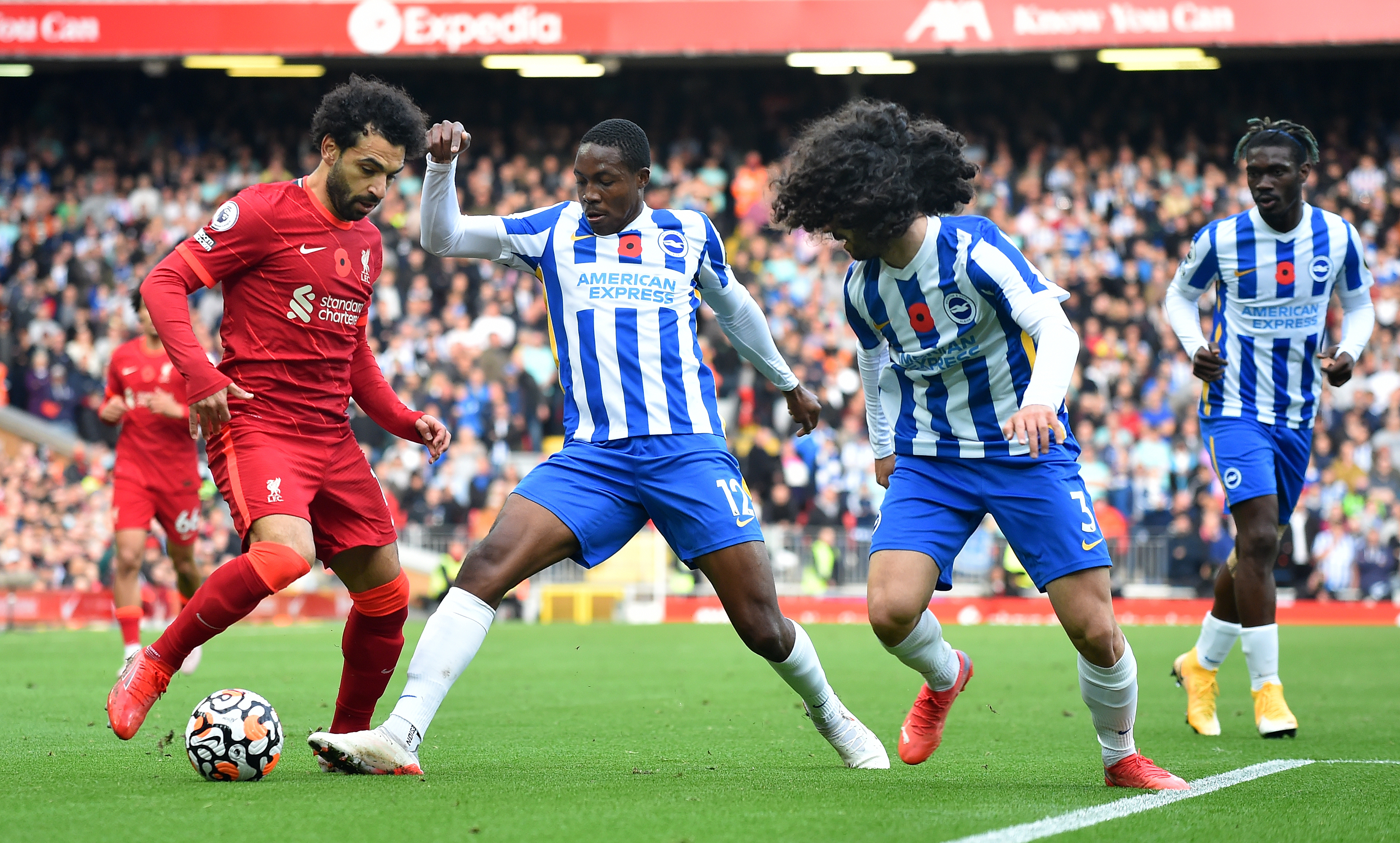 Liverpool FC vs Brighton Hove Albion