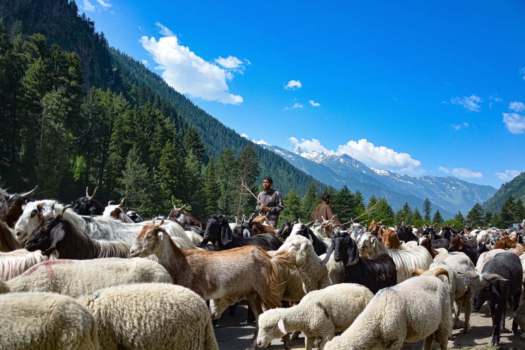 India - China border conflict, Ganderbal, Jammu and Kashmir, India - 19 Jun 2020