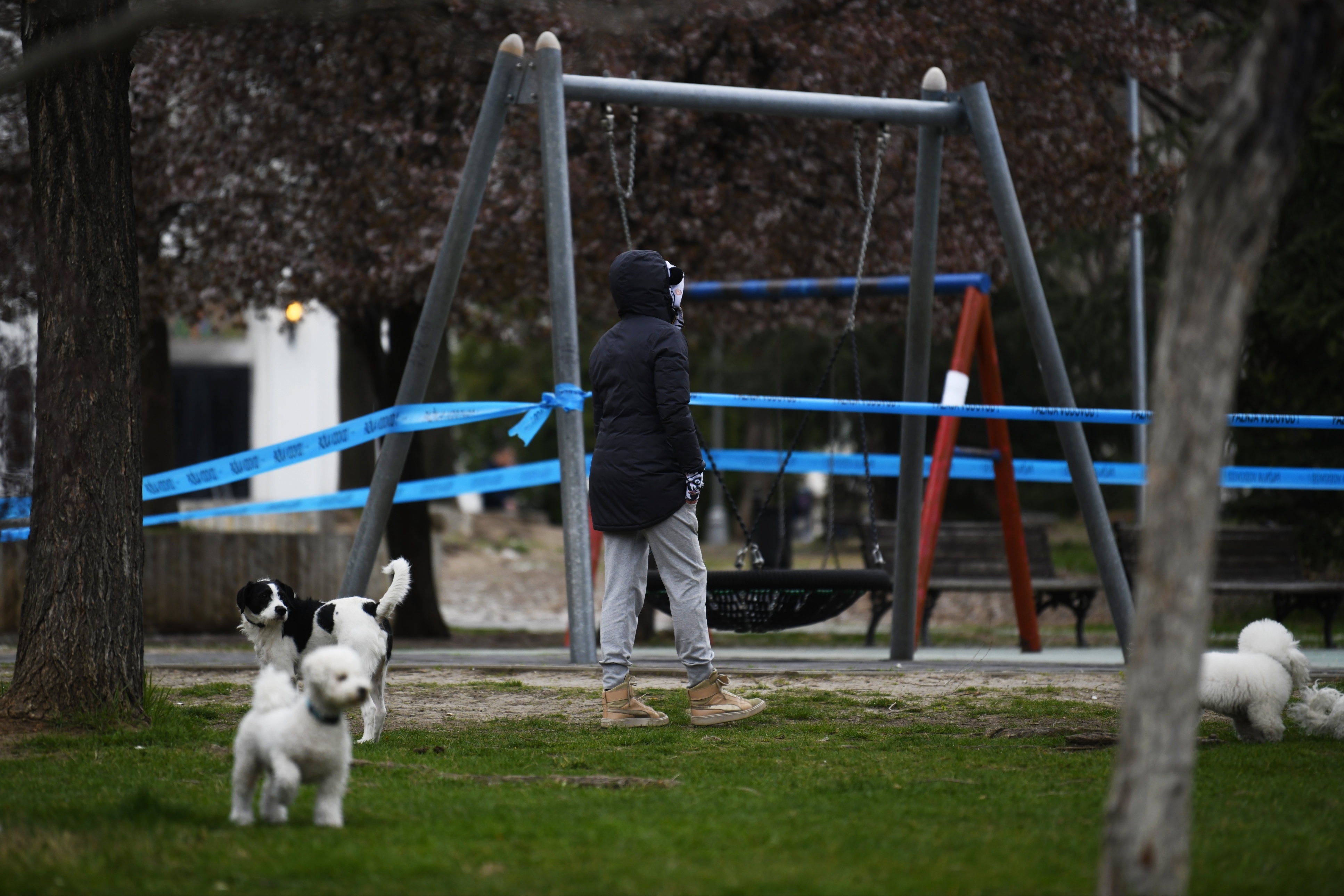 Beogradske ulice Foto:Nemanja Jovanović/Nova.rs