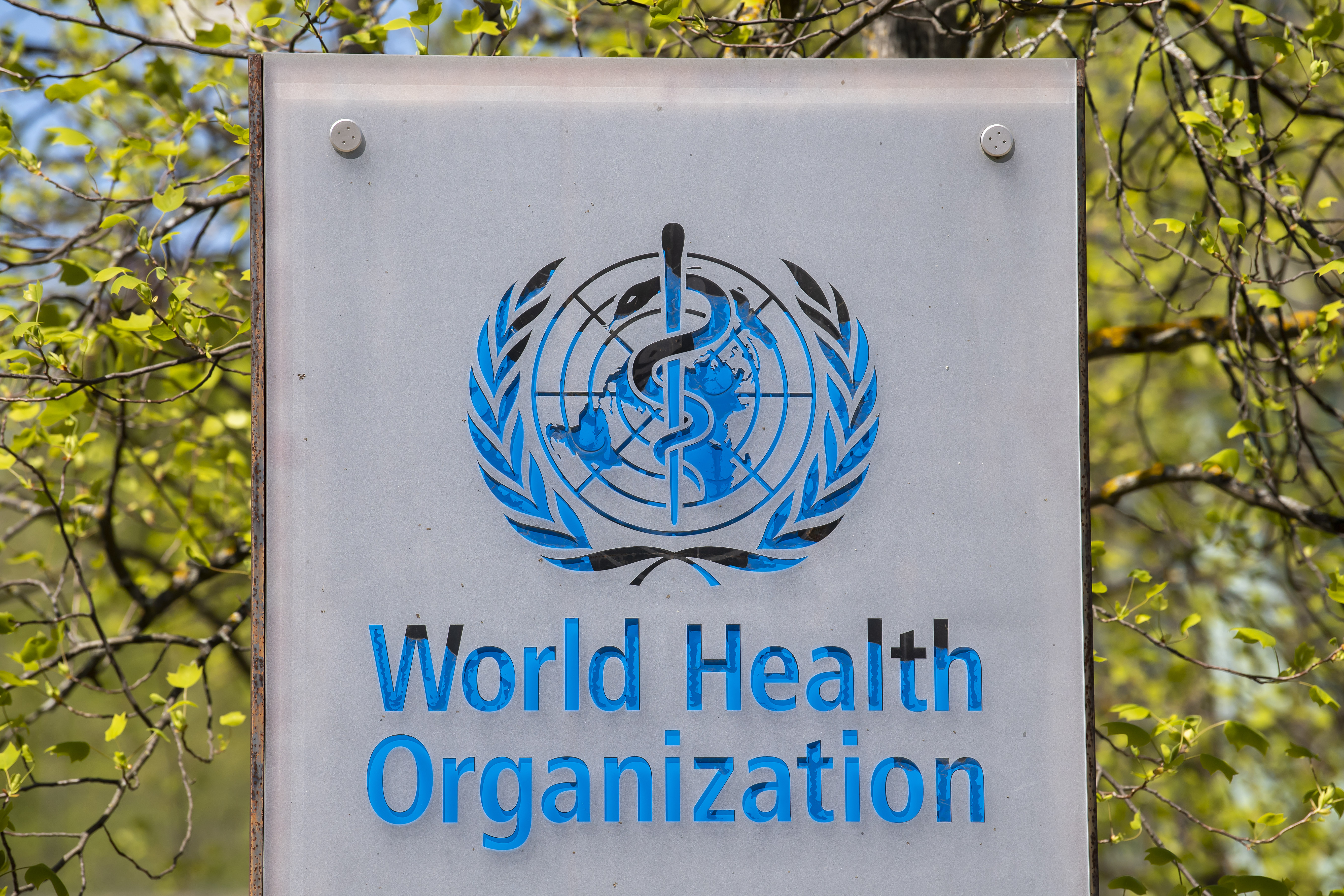 Trump Halts funding to the WHO