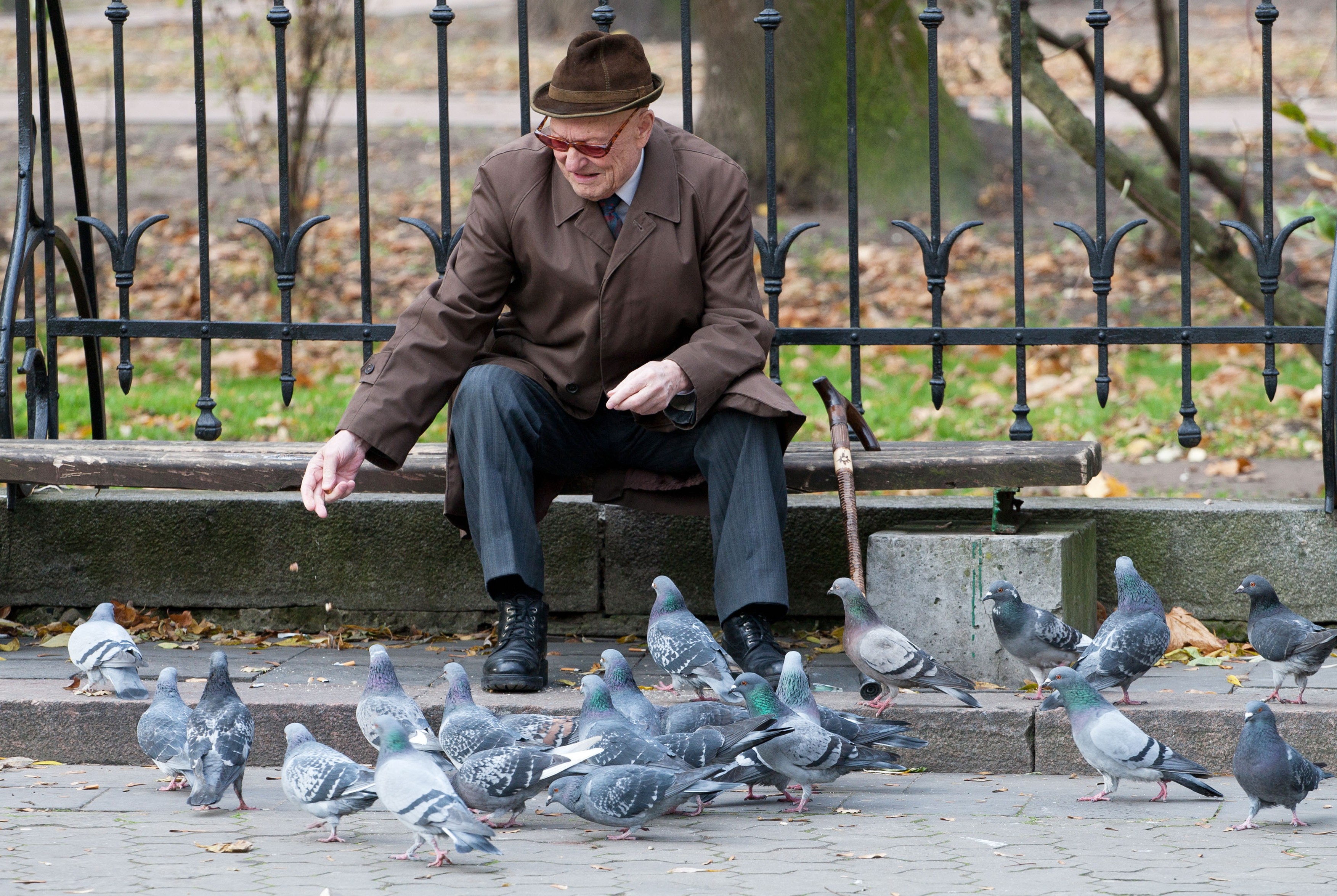 Image: 120970660, License: Rights-managed, Restrictions: , Model Release: no, Credit line: Aliaksandr Mazurkevich / Alamy / Profimedia