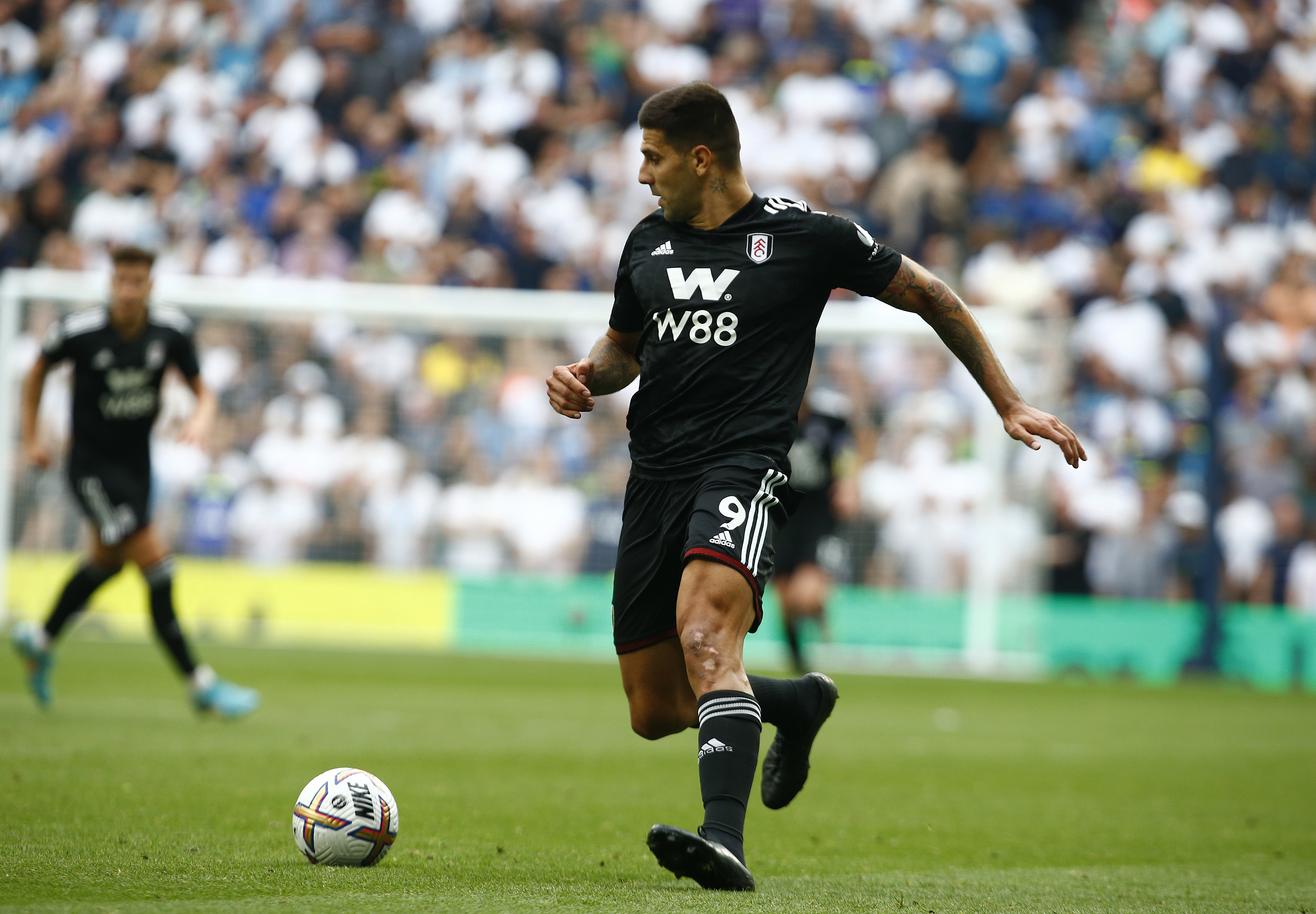 Tottenham Hotspur vs Fulham FC