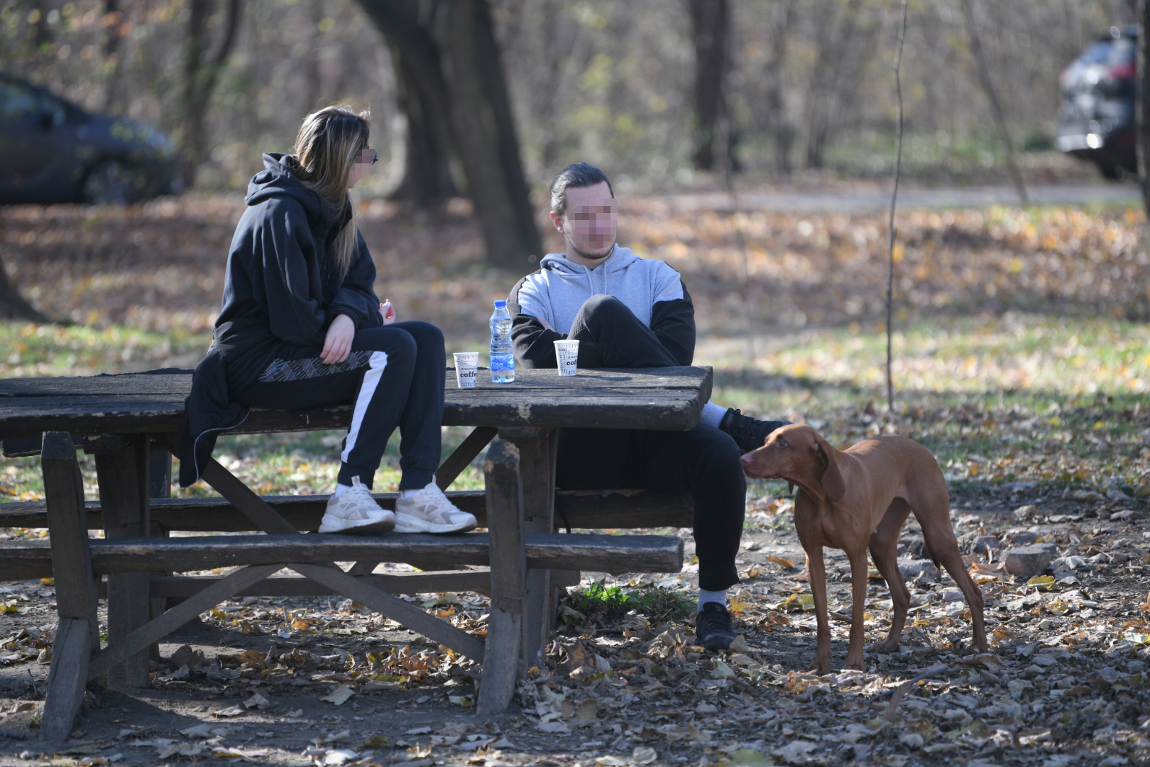 Beograd 21. novembar 2021. Lep jesenji novembarski dan, vreme, vremenska prognoza, suncano, suncan dan, jesen Foto:Dragan Mujan/Nova.rs