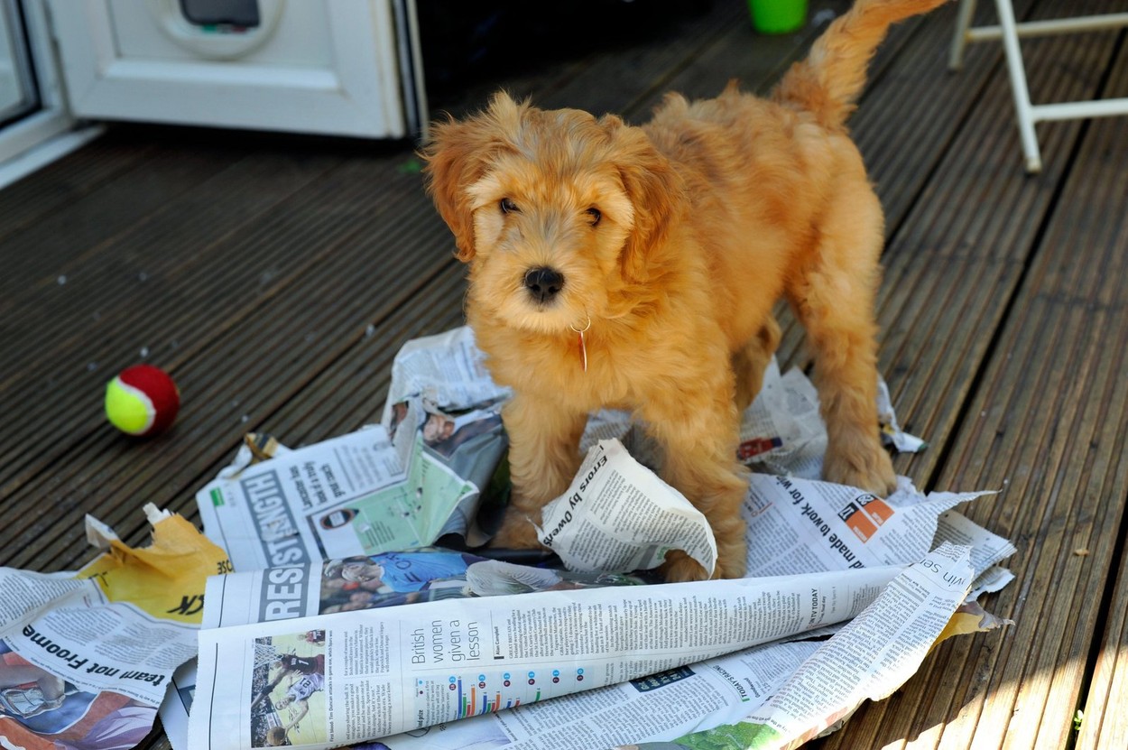 Image: 204567846, License: Rights-managed, Restrictions: , Model Release: no, Credit line: Tim Jones / Alamy / Alamy / Profimedia