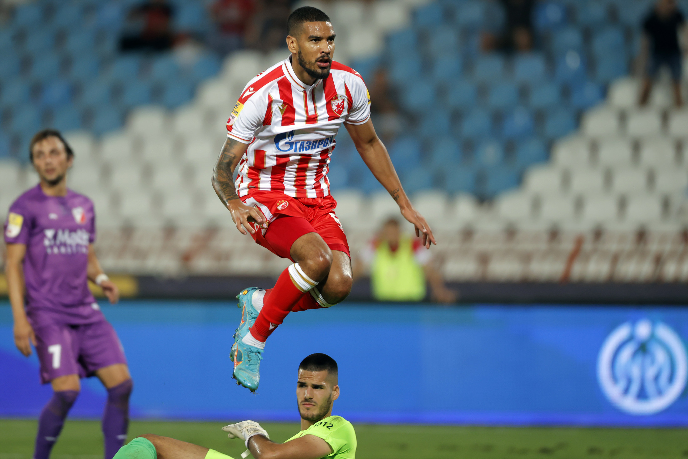 zvezda-javor-29314 (1)