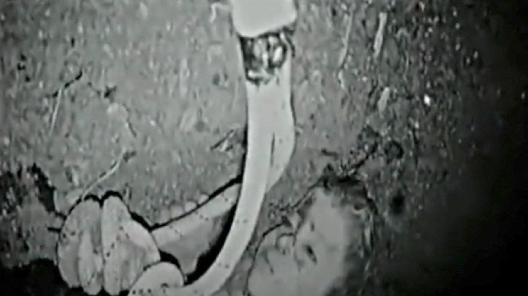 profimedia-0659720924