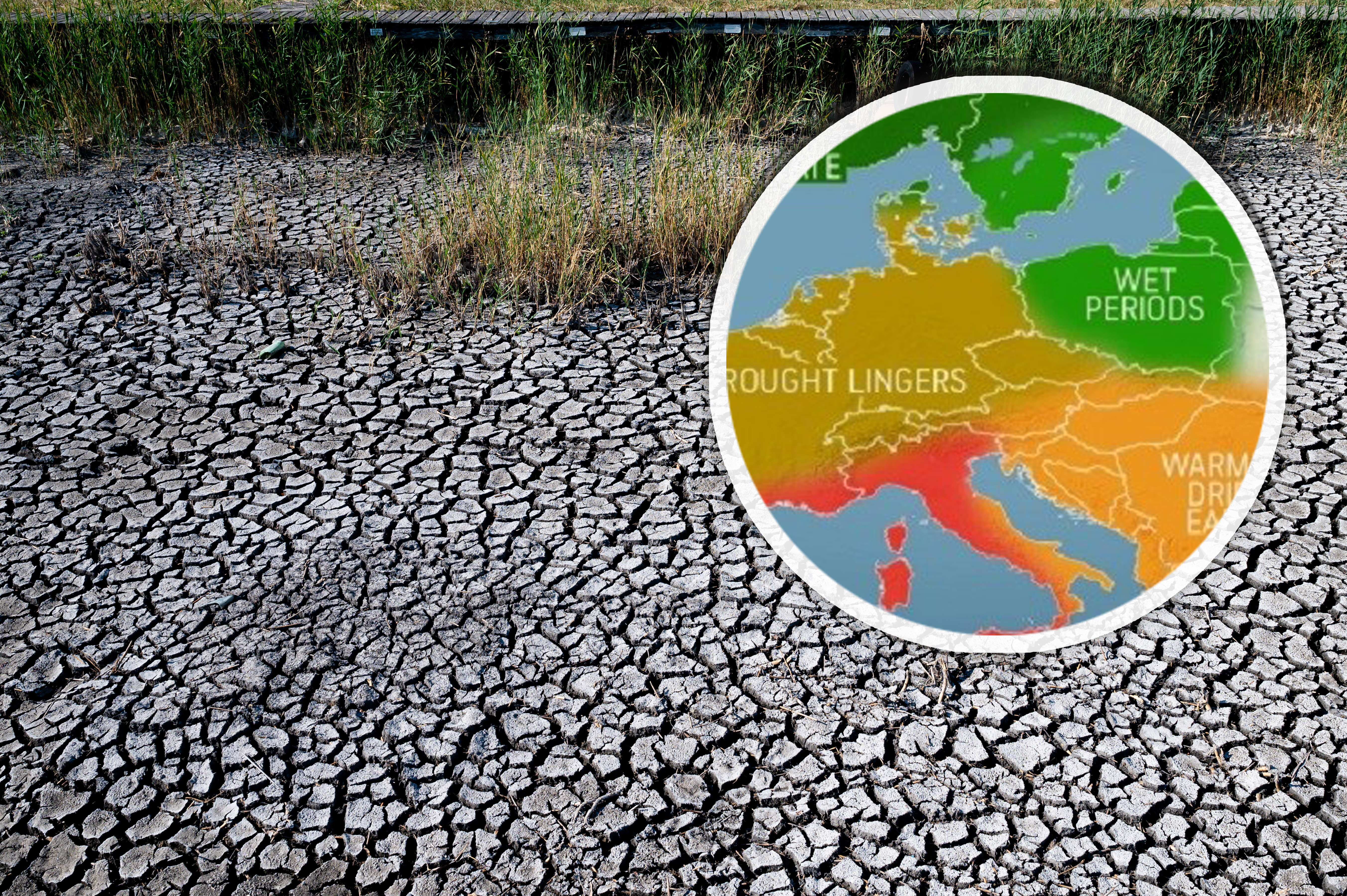 Low water level of Lake Velencei