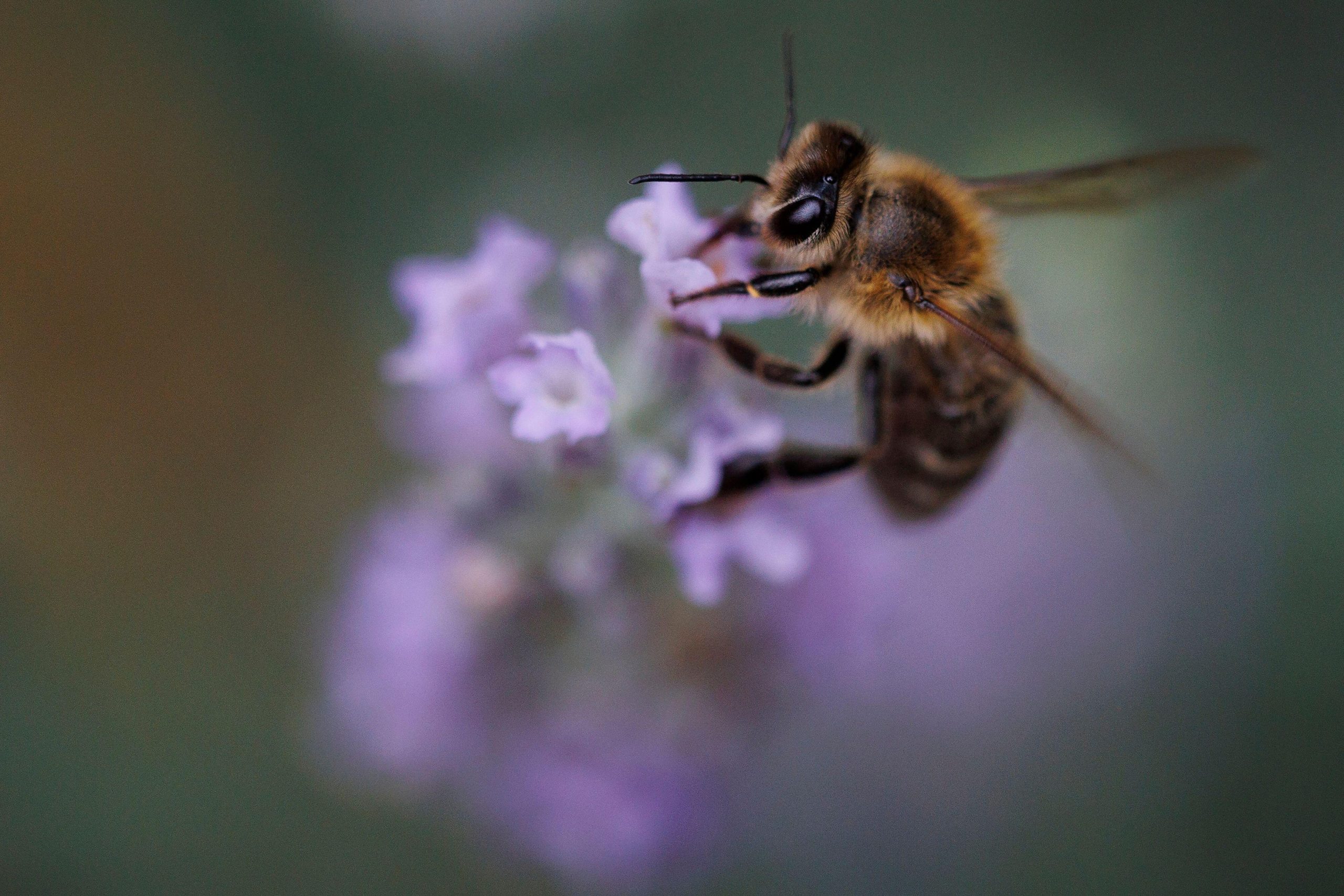 Foto: Pixsell photo &amp; video agency / Alamy / Alamy / Profimedia