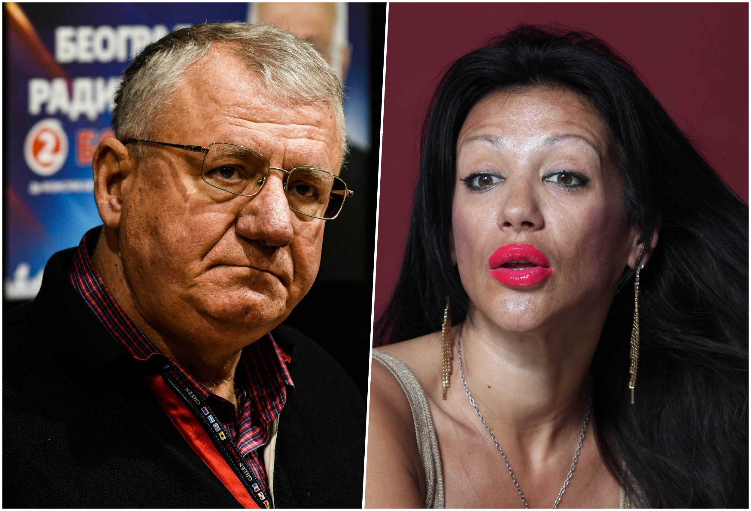 seselj i vendi