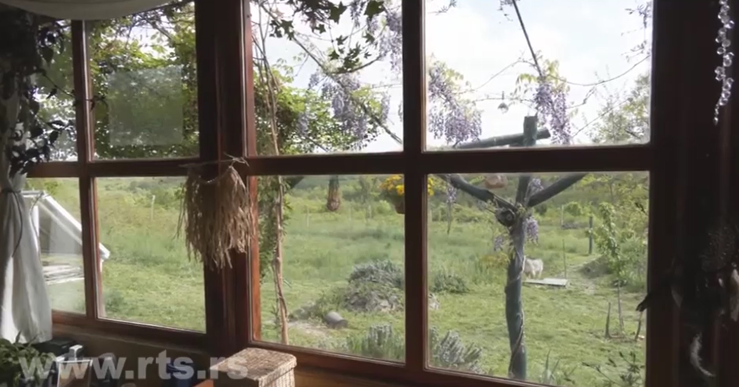 Aleksandar i Marija kuća Rtanj