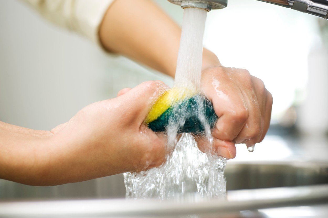 Person rinsing sponge under kitchen faucet,Image: 69835777, License: Royalty-free, Restrictions: , Model Release: no, Credit line: Laurence Mouton / Photo Alto / Profimedia