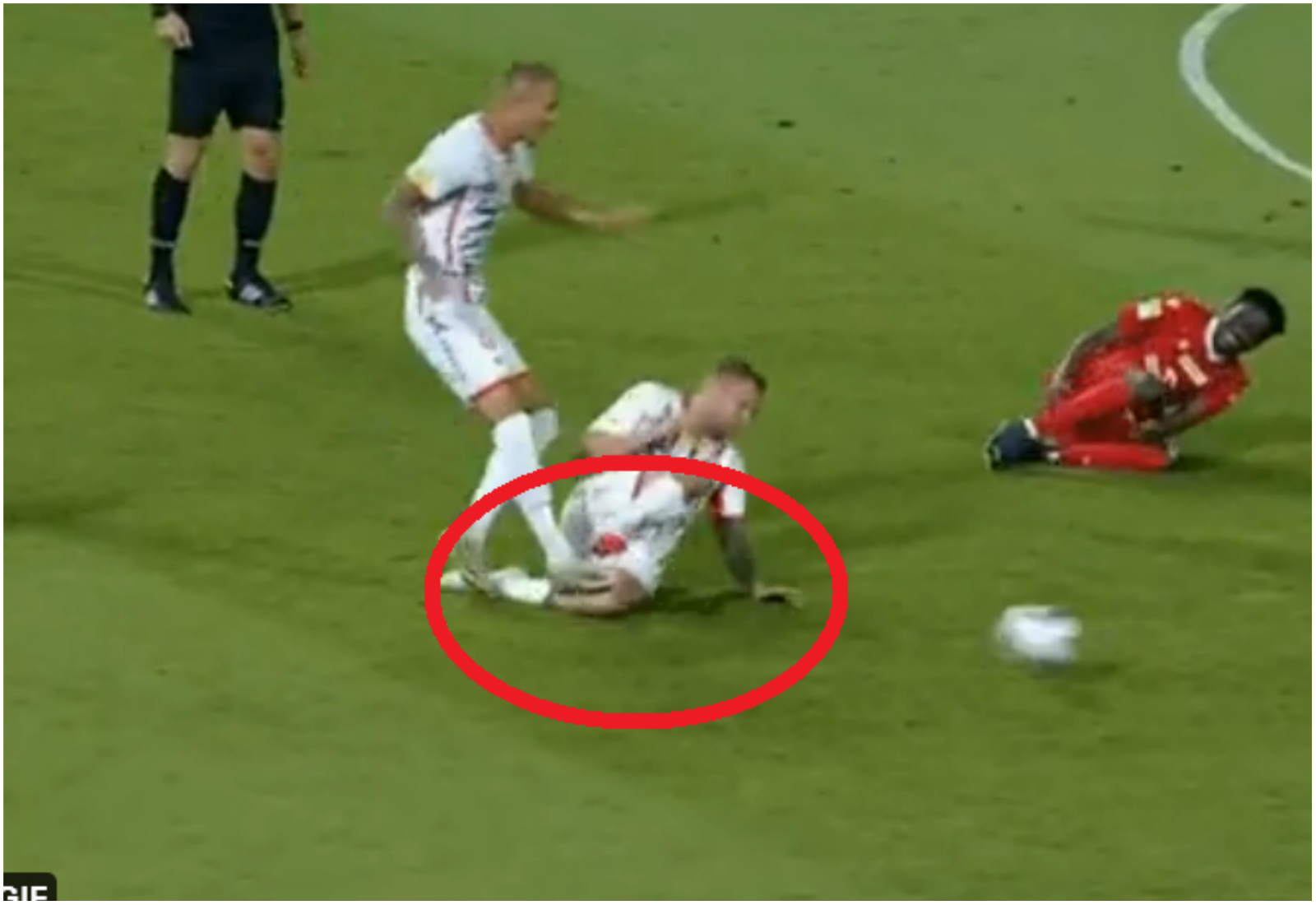 Foto: Screenshot Twitter Tomasz Szczygieł 💬